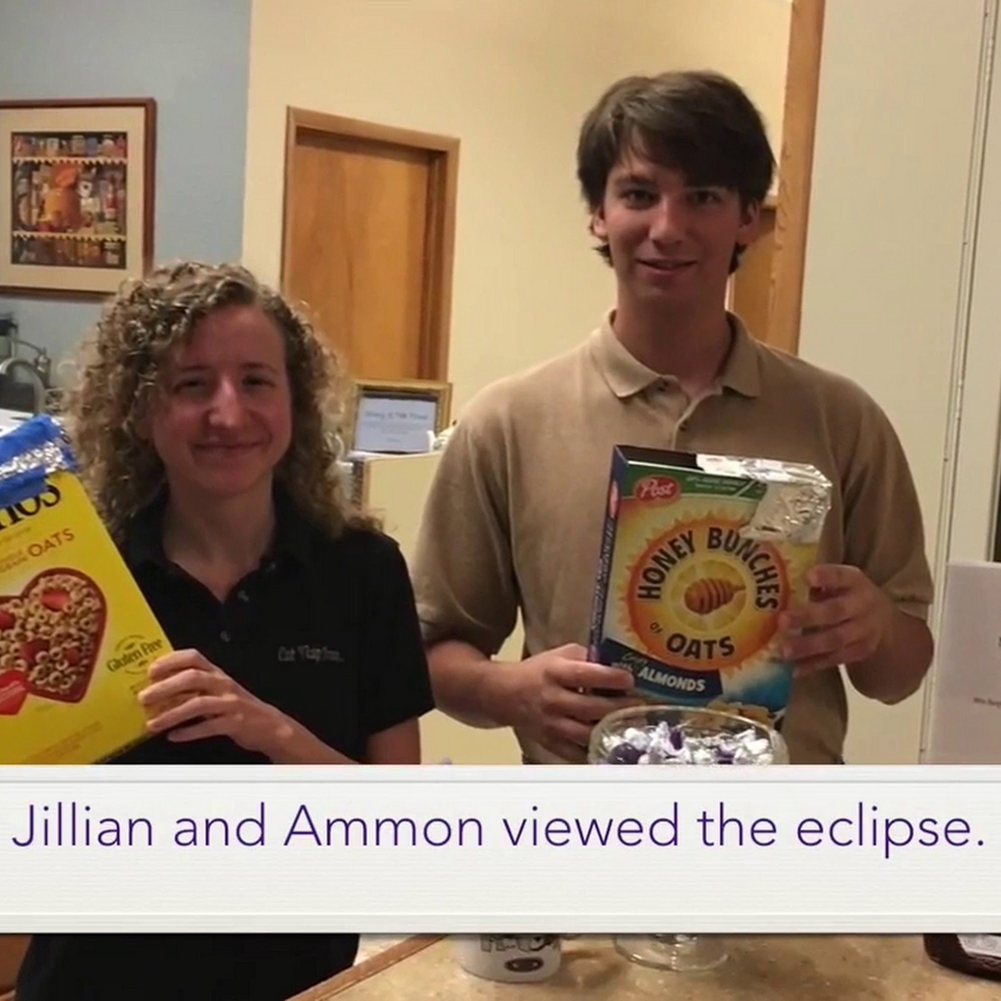 Cat Nap Inn, Cat Boarding, Bed and Breakfast Exclusively for Cats Sedro-Woolley