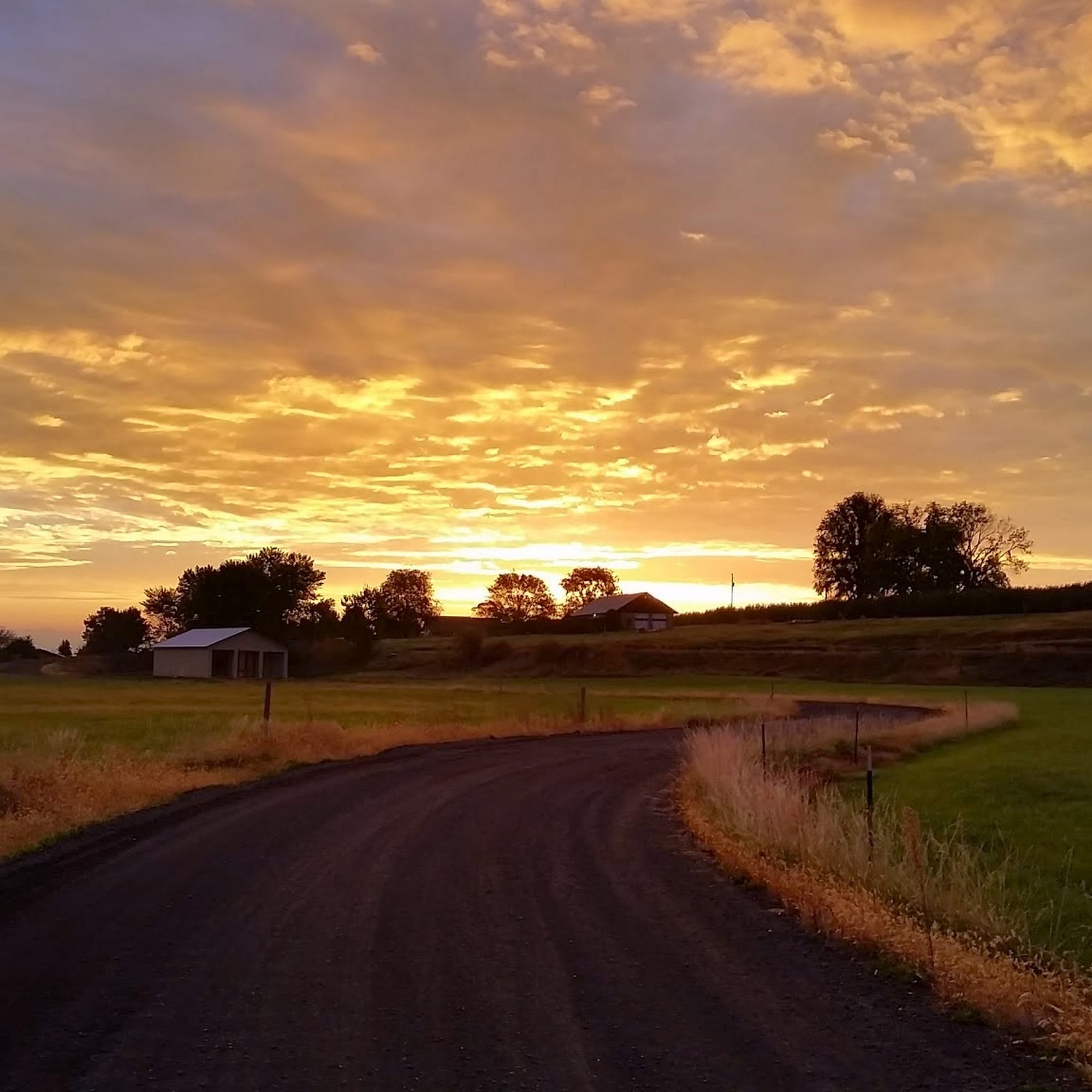 Sun Valley Equine Hospital, LLC Selah