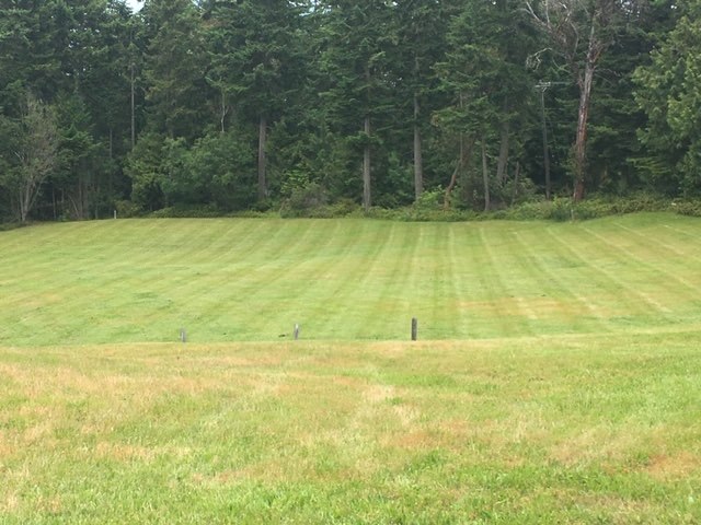 Big Blue Pressure Washing and Lawn