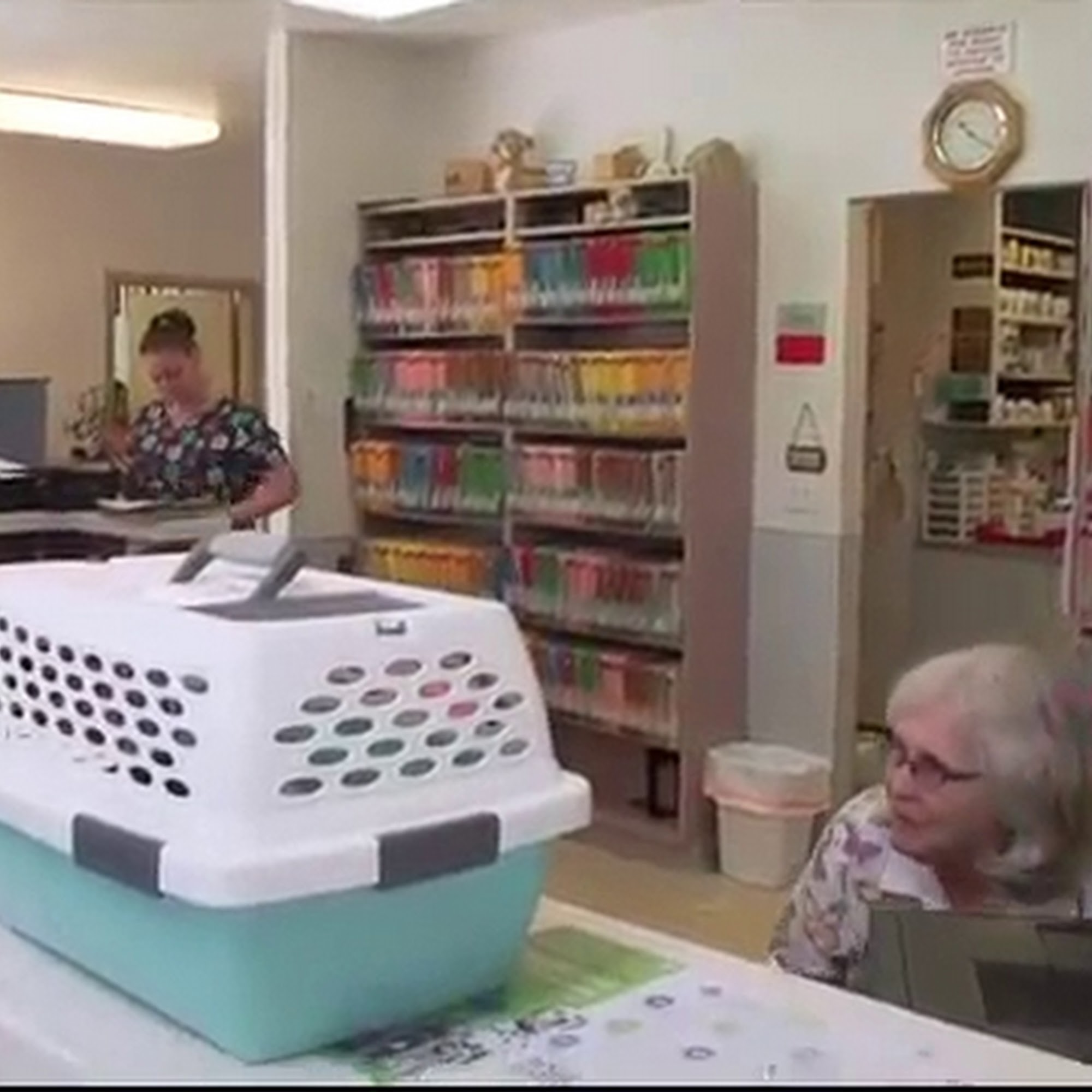 Shelton Veterinary Hospital Shelton