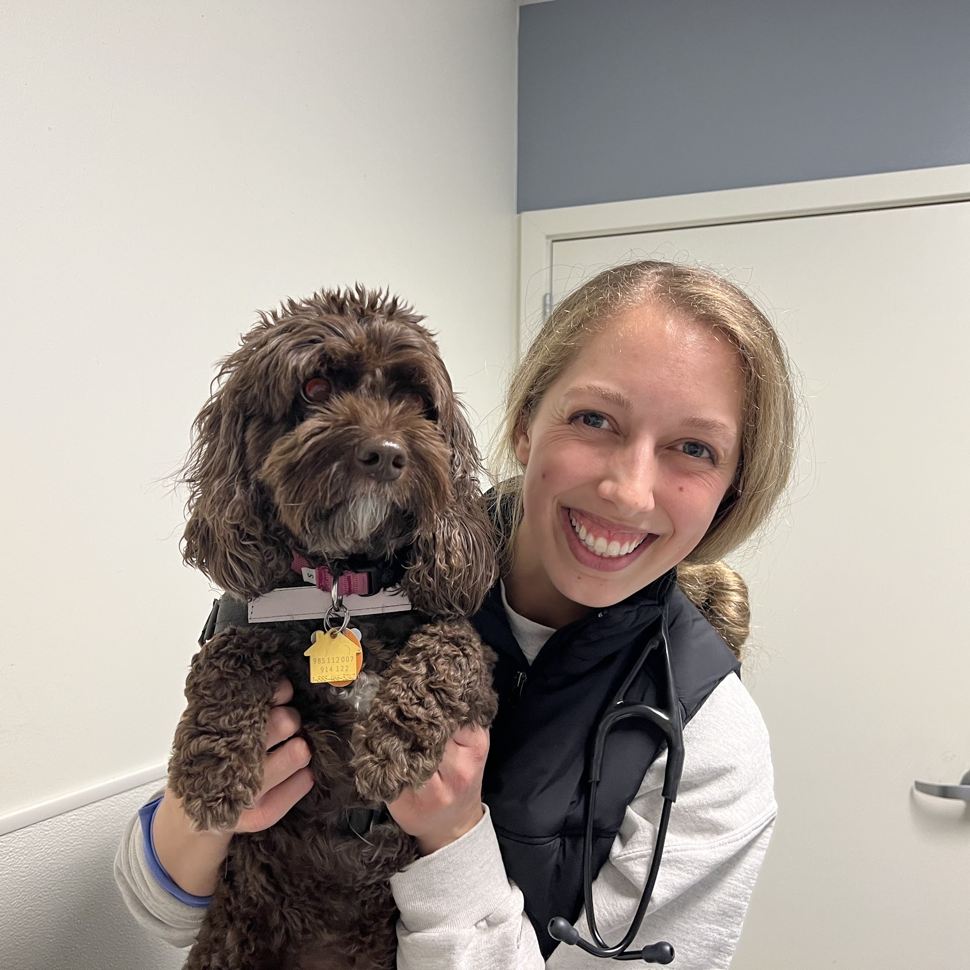 Shoreline Central Animal Hospital Shoreline