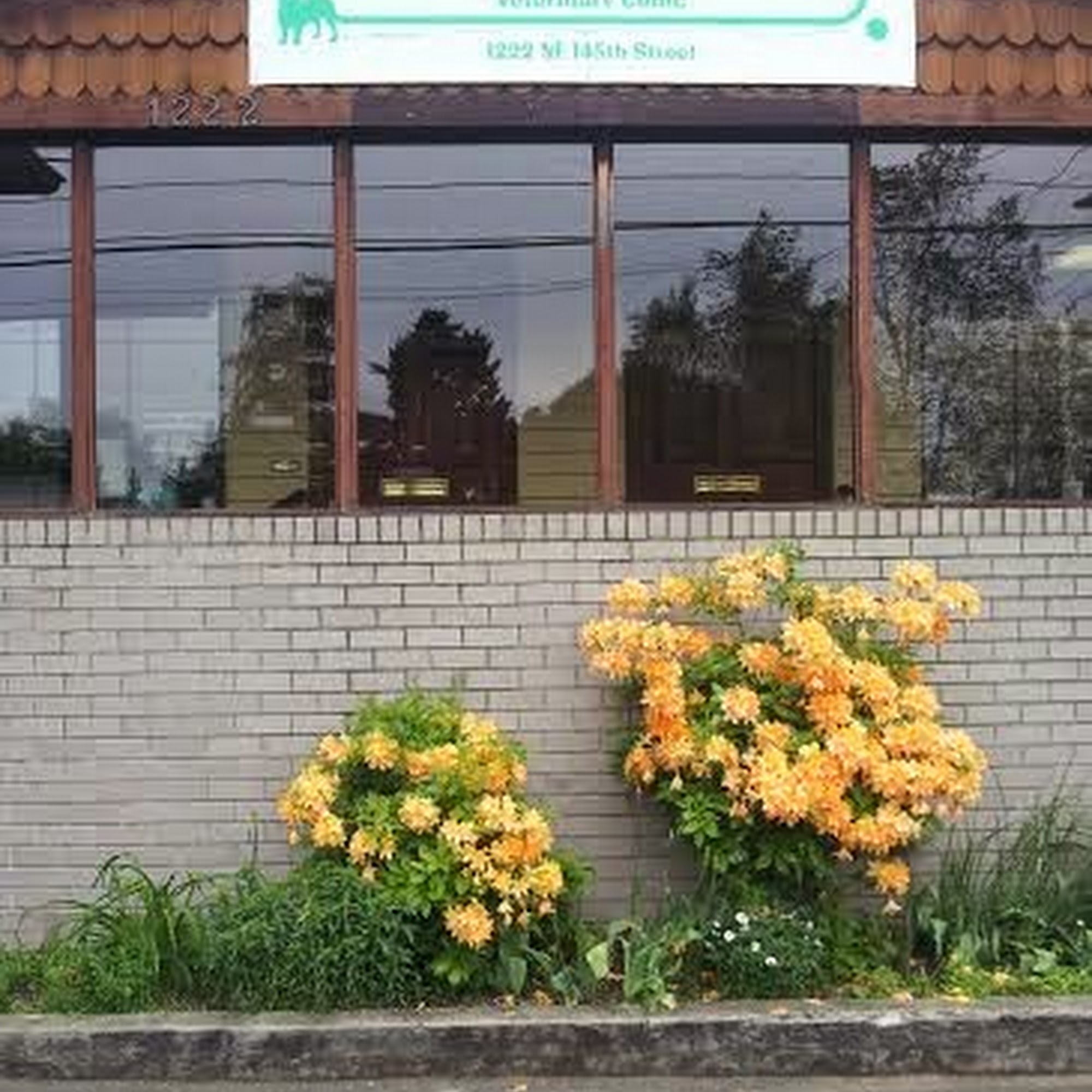 Allpet Veterinary Clinic Shoreline