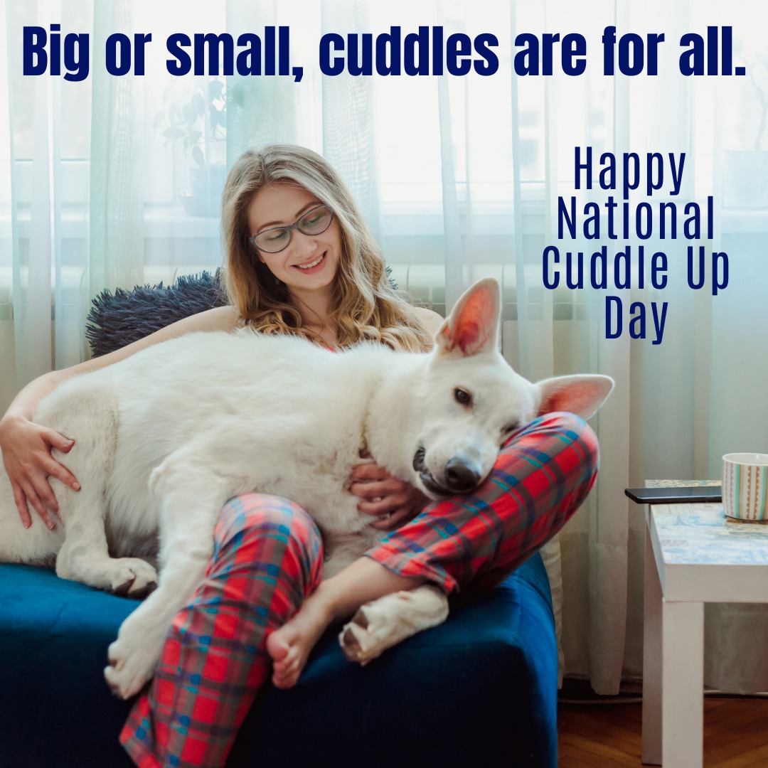 Cascade Pet Hospital Shoreline