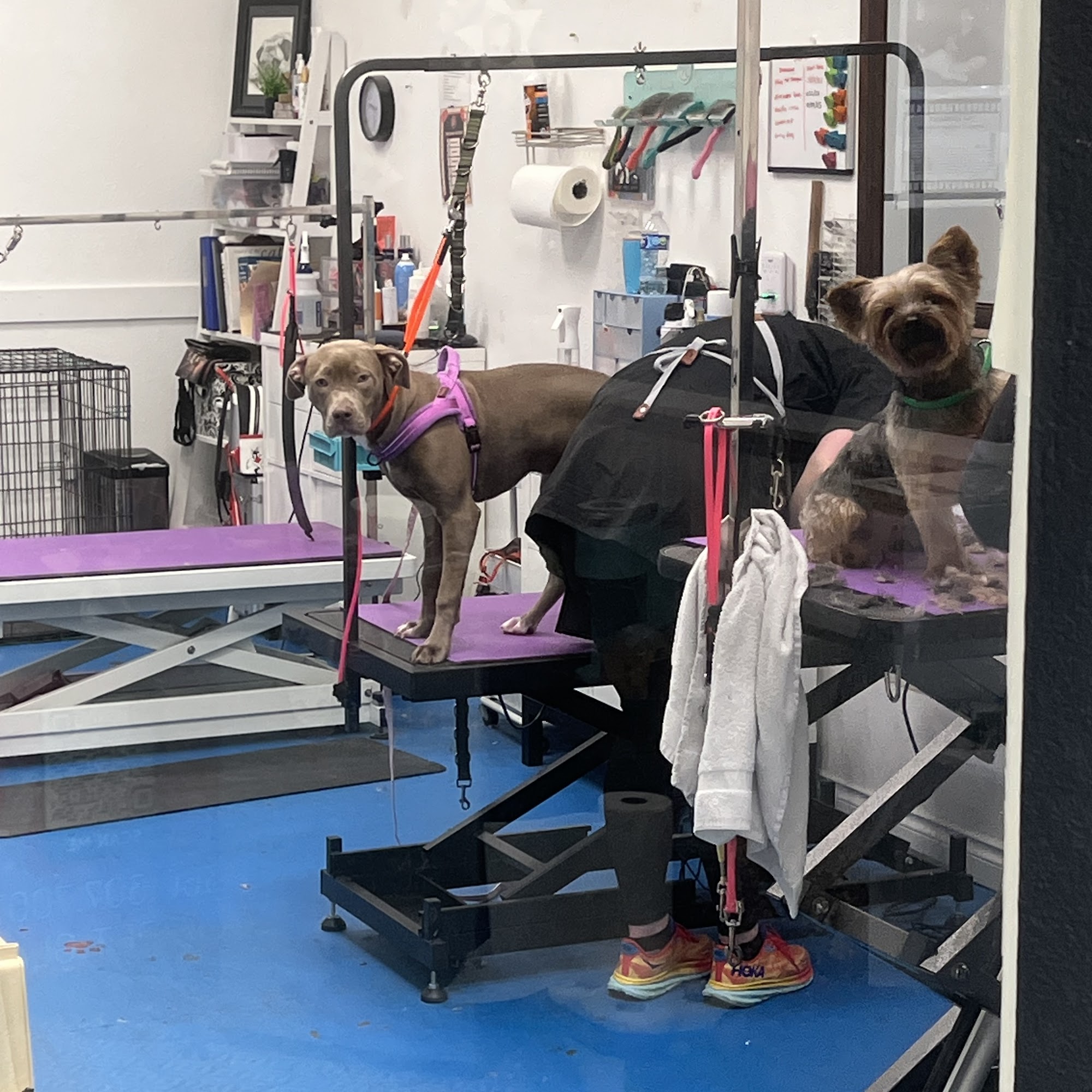 Silverdale Grooming Company Silverdale