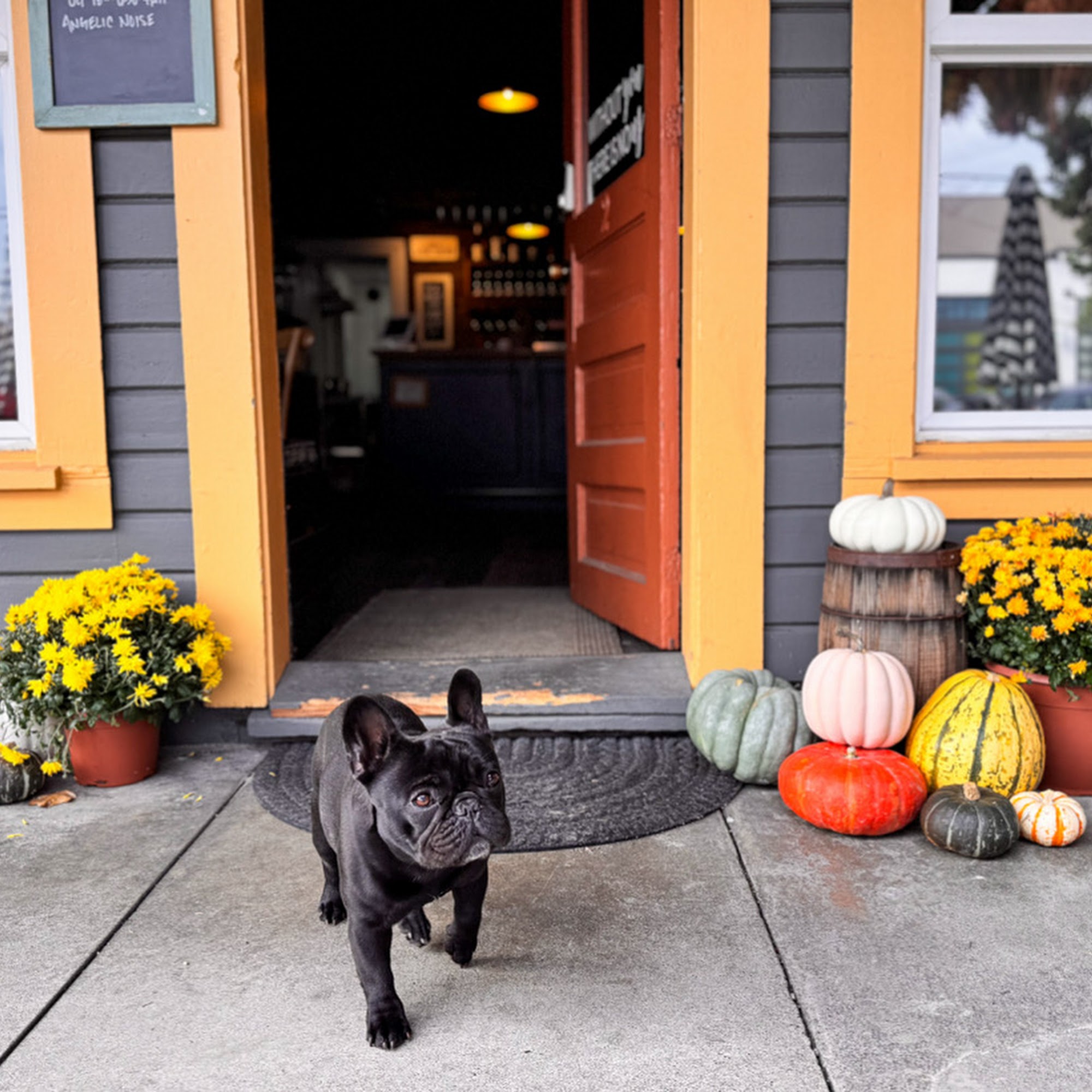 Uptown Wine and Beer Snohomish