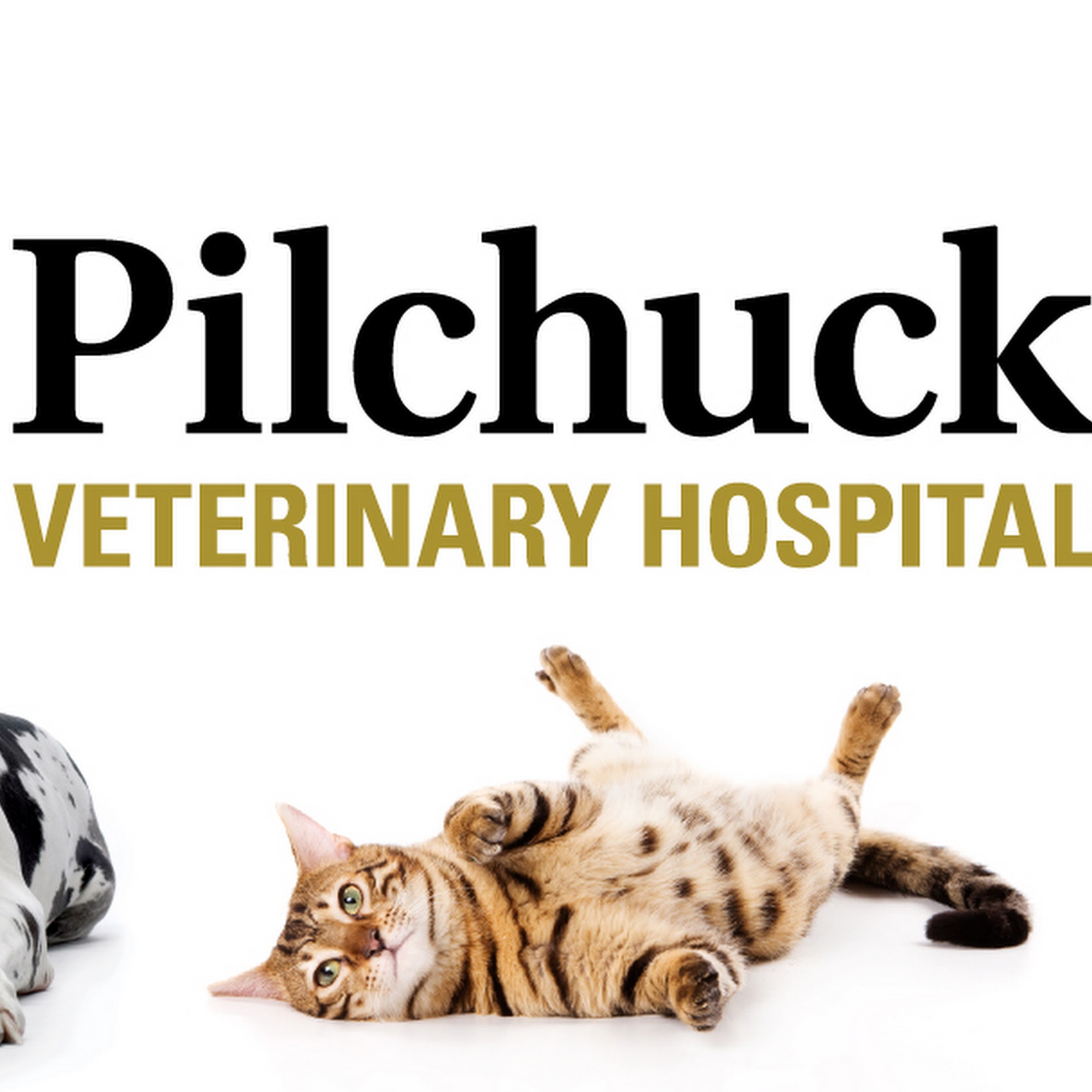 Pilchuck Veterinary Hospital - Small Animal Snohomish