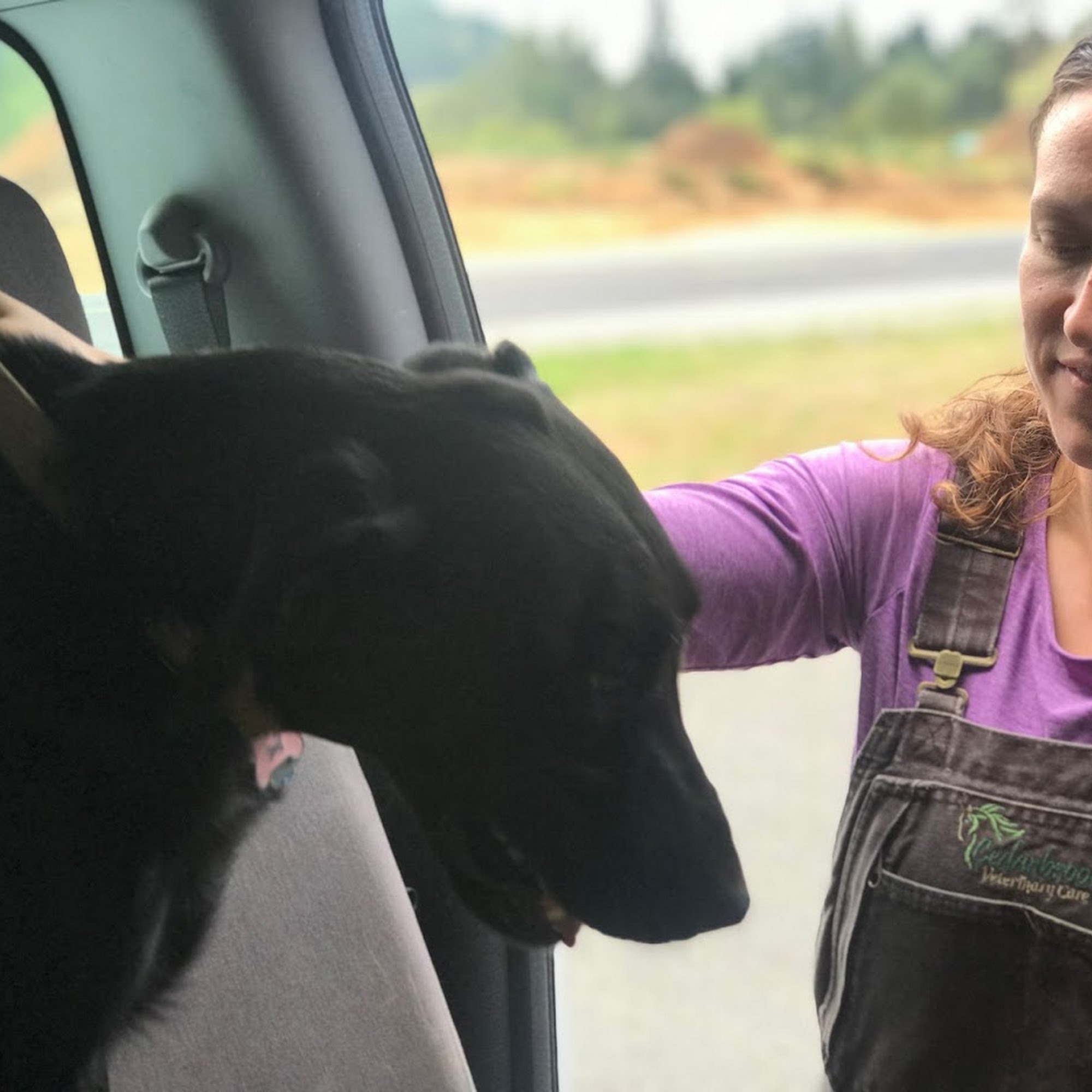 Cedarbrook Veterinary Care Snohomish