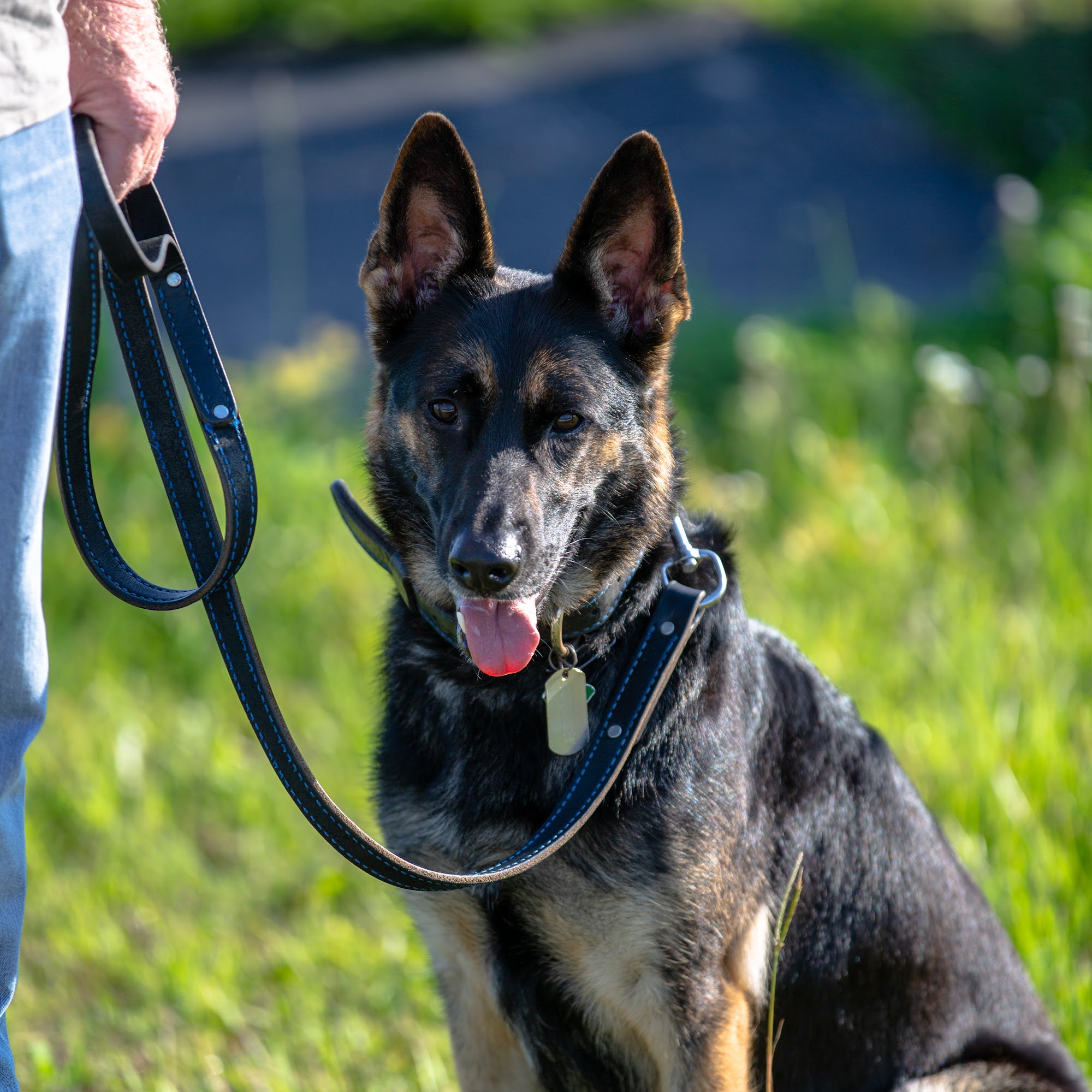 MINDFUL ADVENTURE DOG ACADEMY LLC Snohomish