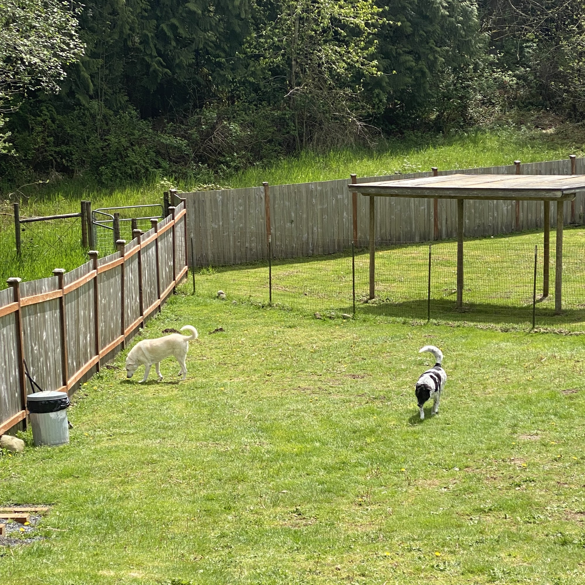 Roscoe's Ranch Snohomish