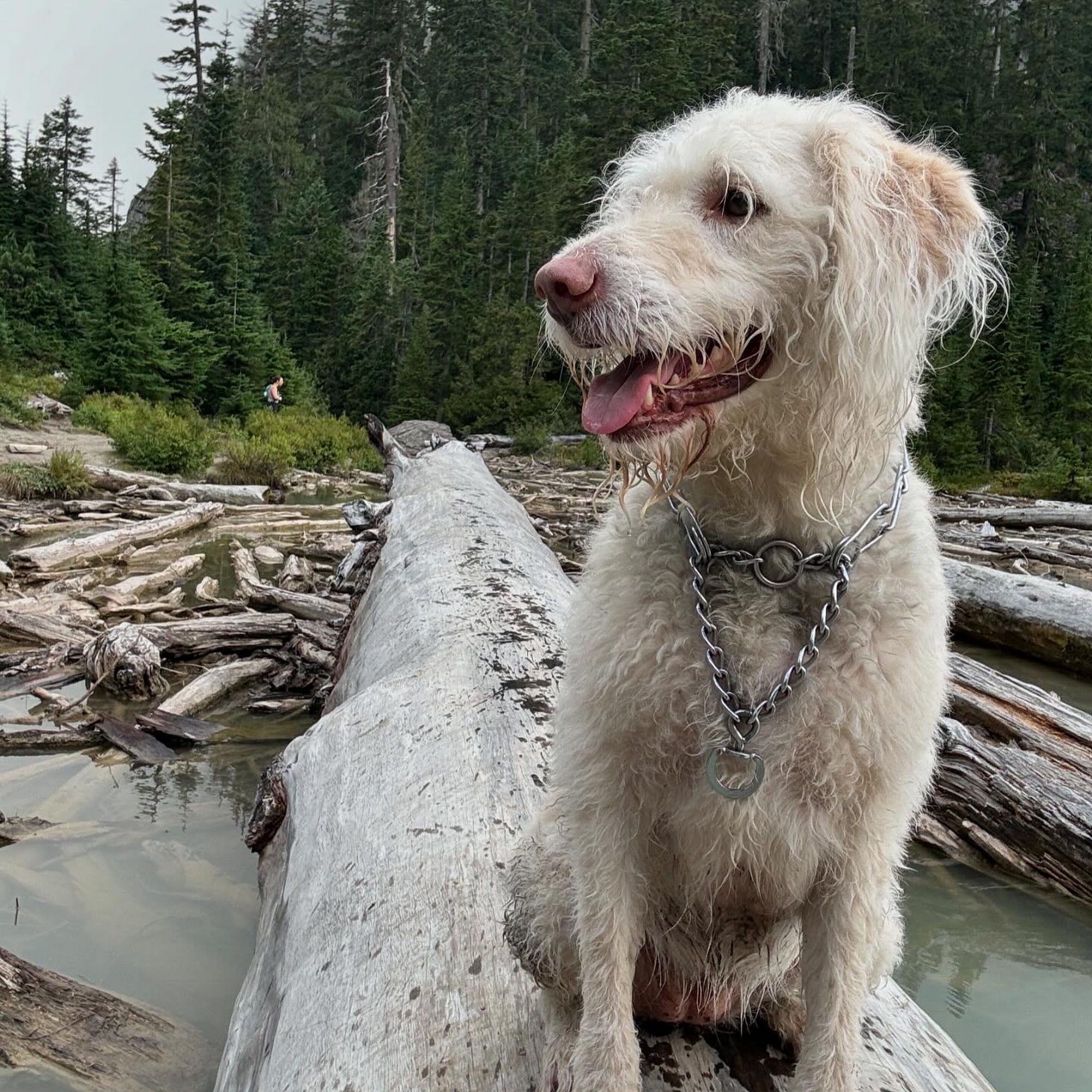 All My Friends Snohomish