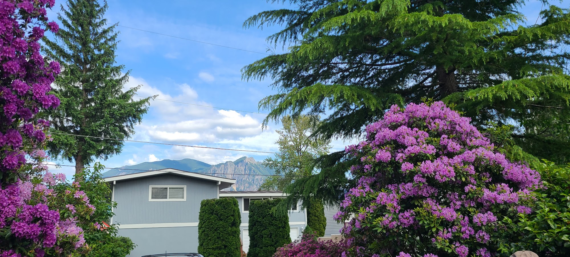 Mount Si Winery Snoqualmie