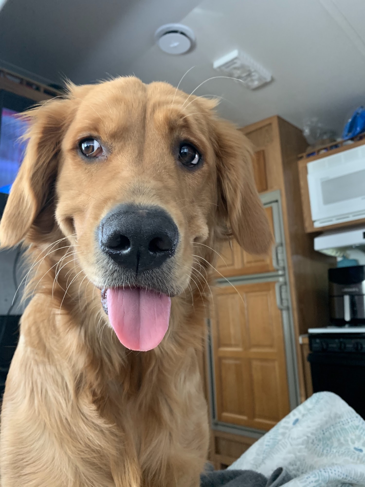 Valley Veterinary Clinic Spokane Valley