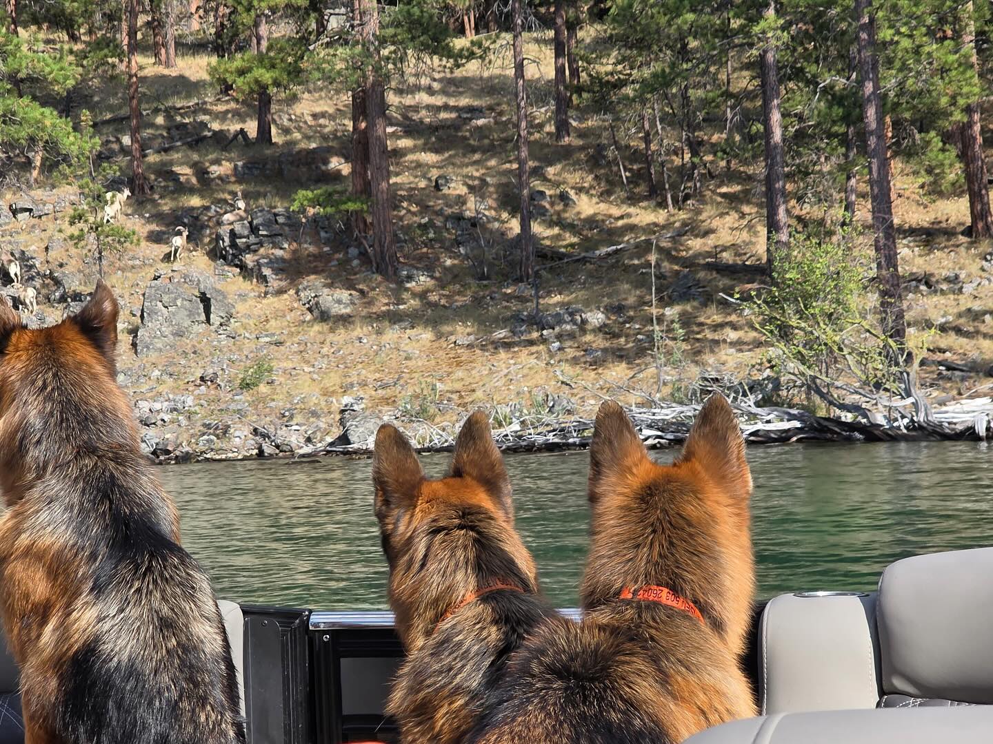 I-Guard International Spokane Valley