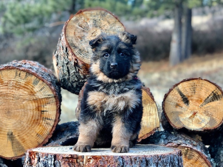 I-Guard International Spokane Valley