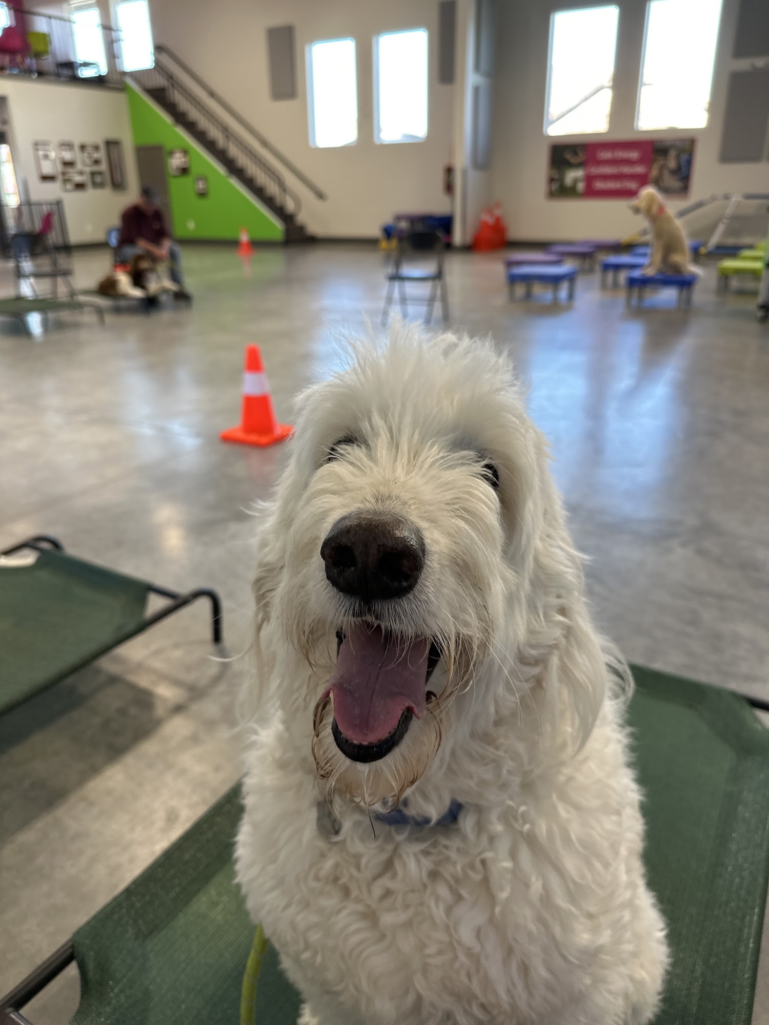 Unleashed Academy Spokane Valley