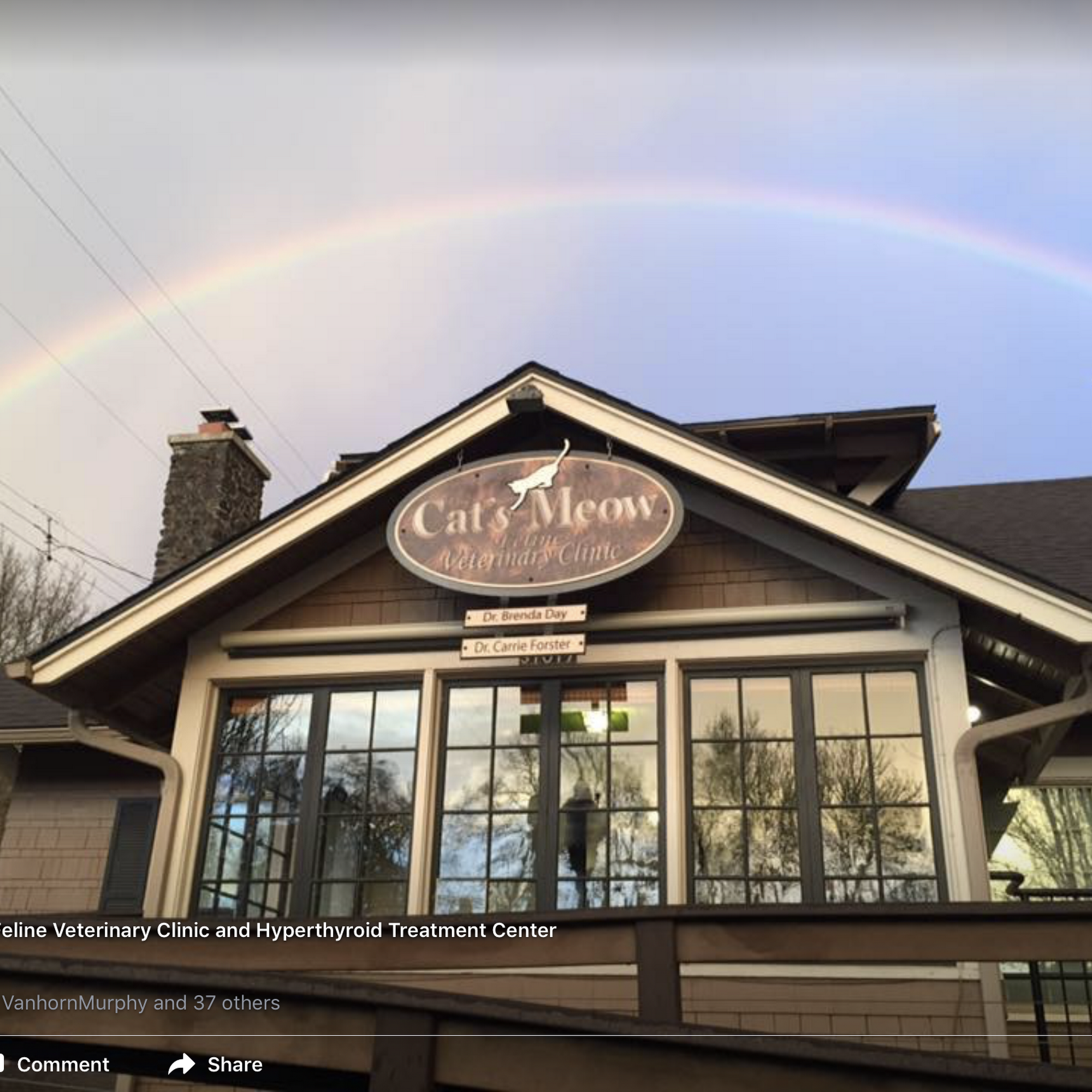 Brenda R. Day - Cat's Meow Feline Vet Clinic Spokane