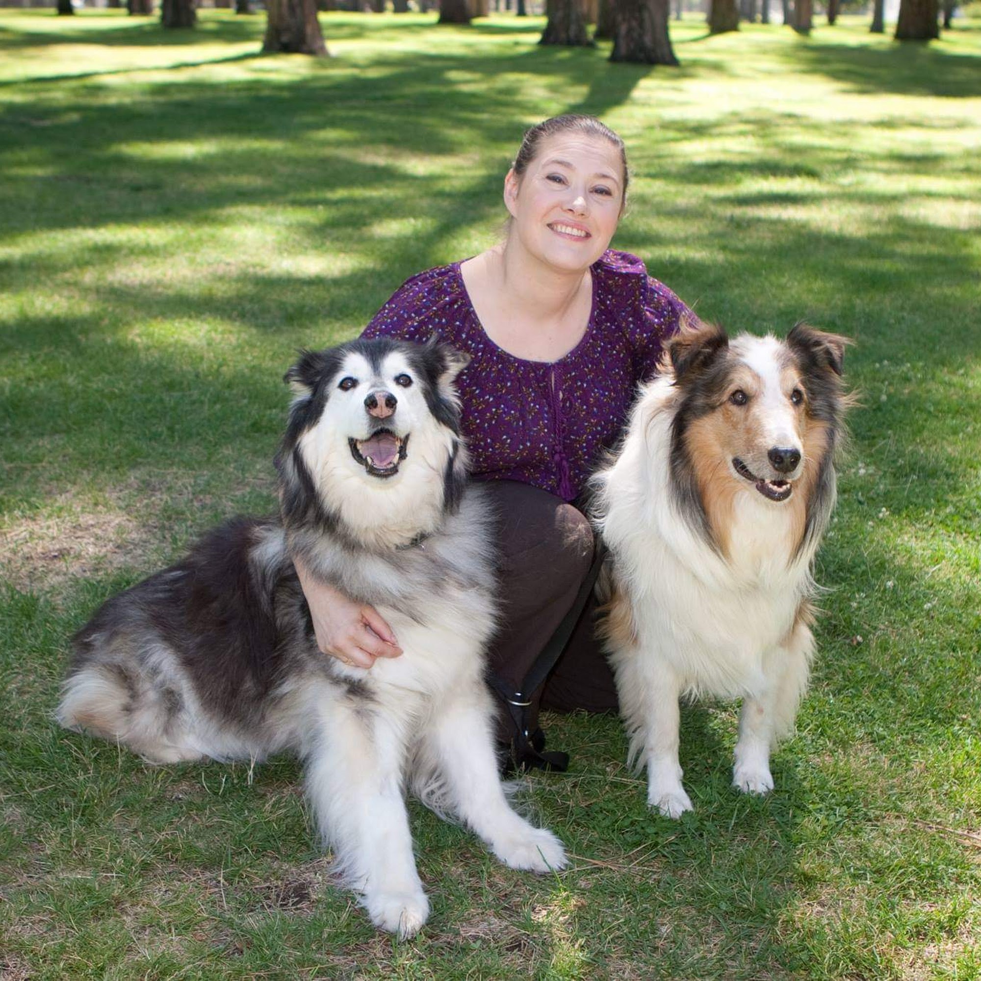 Brush Up Training Spokane