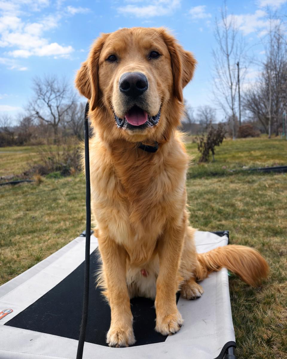 Off Leash K9 Training of Spokane, LLC Spokane