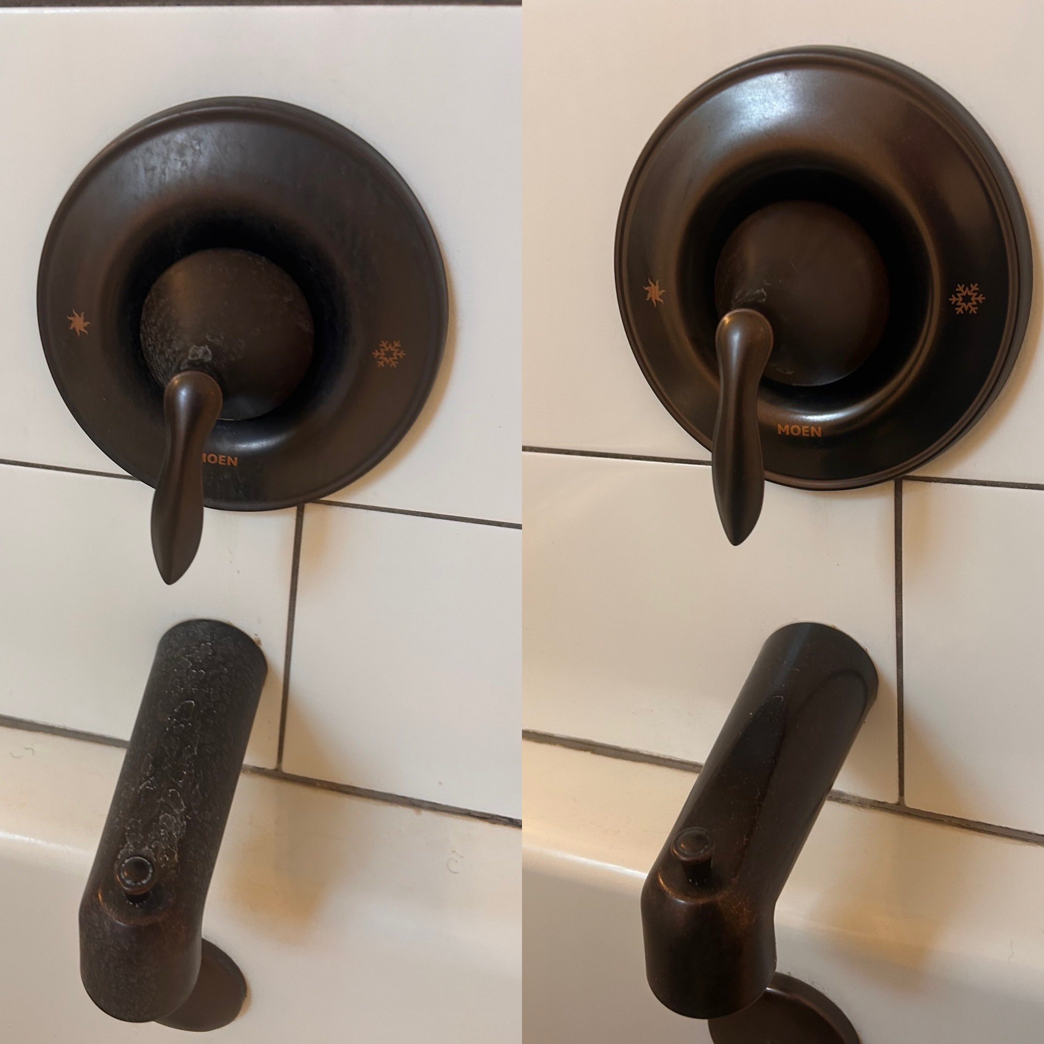 Lilac City Termite Removal Experts 827 W 1st Ave, Spokane Washington 99201