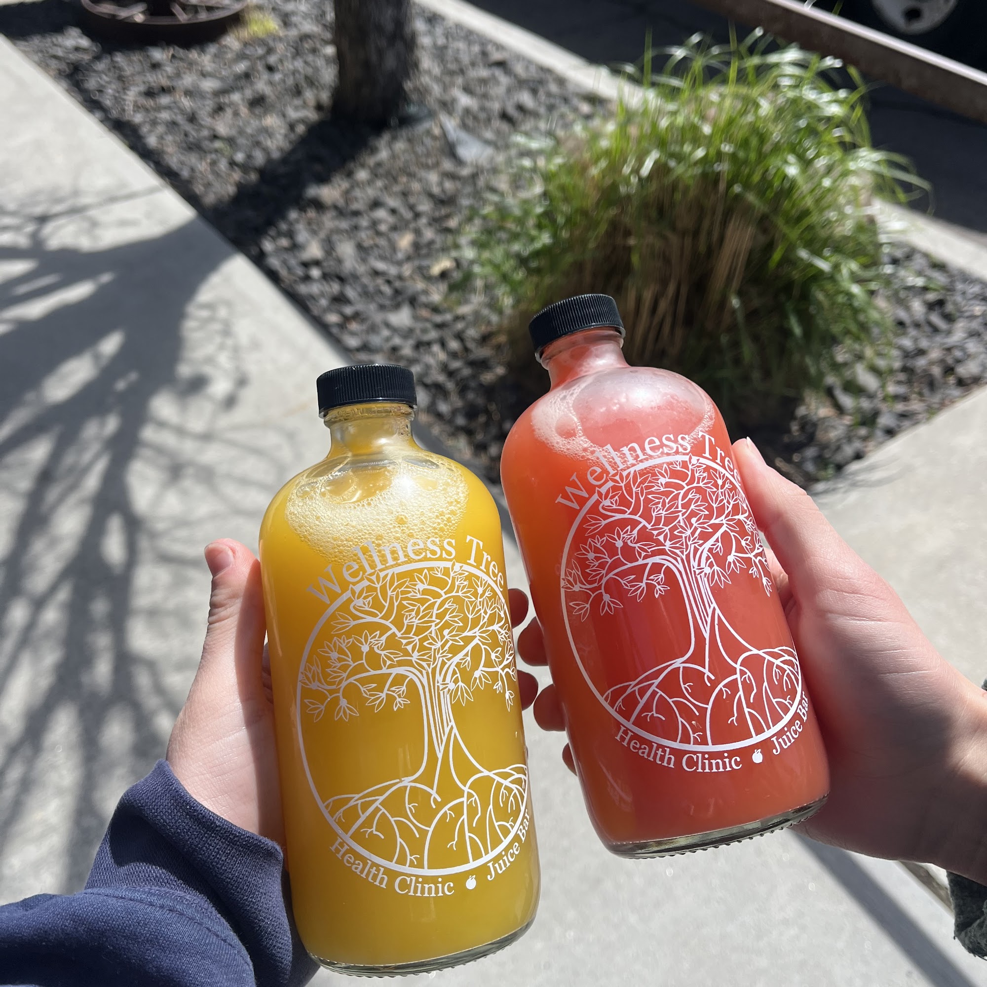 Wellness Tree Juice (Hamilton)