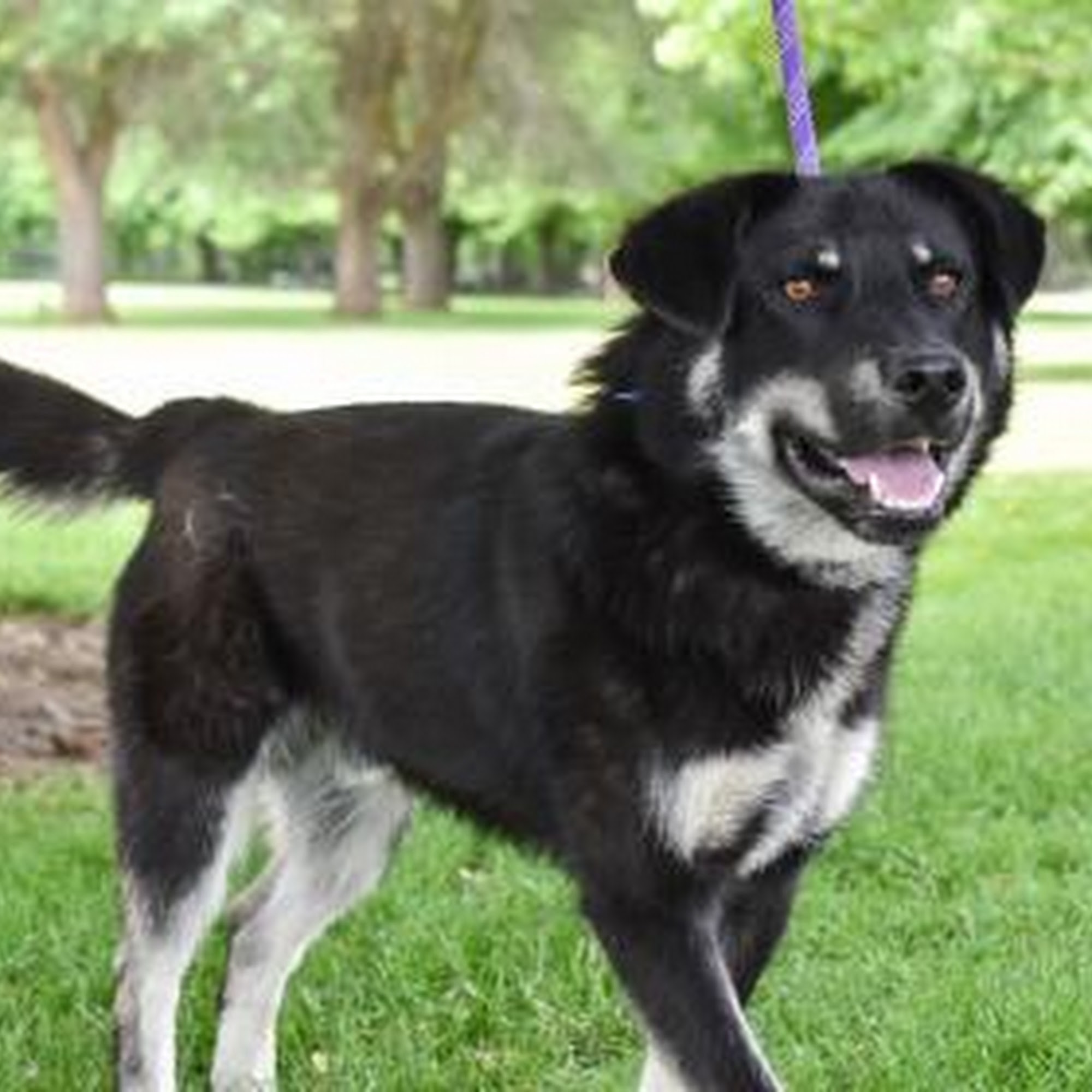 The NOAH Center Stanwood