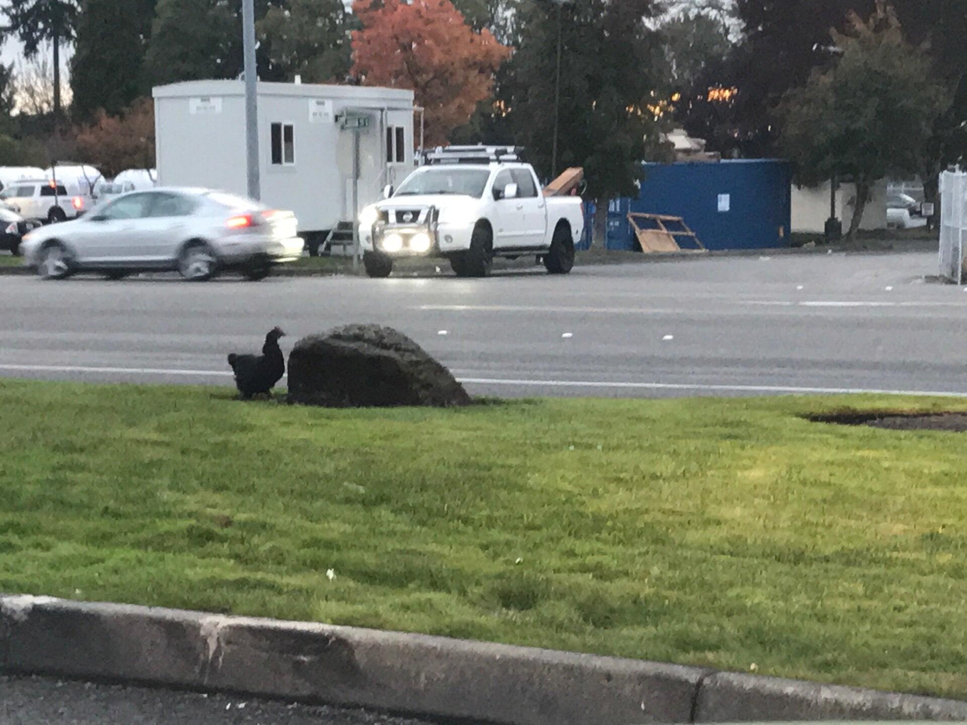 Photo credit: nextdoor