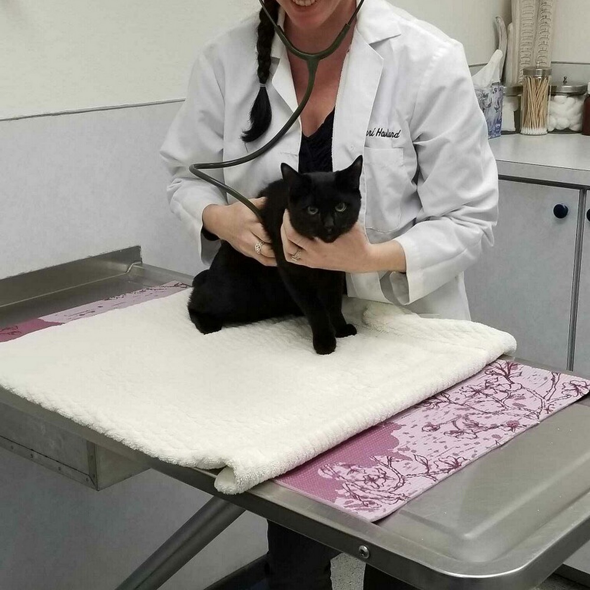 Avenue Veterinary Clinic, Dr. Sabari Haviland, DVM Tacoma