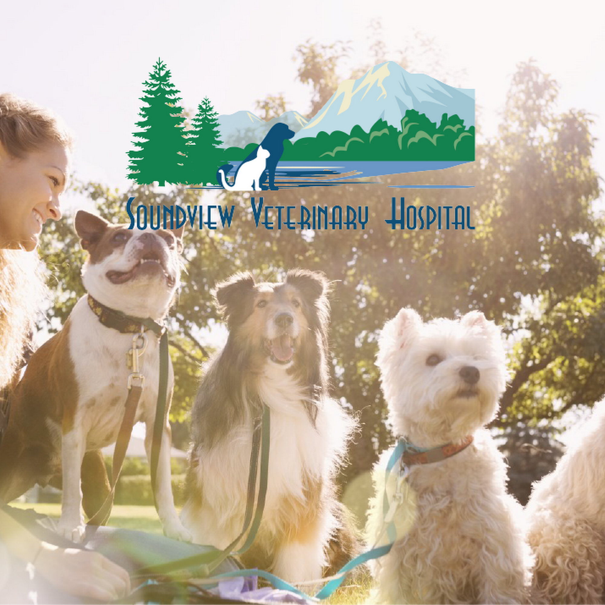 Soundview Veterinary Hospital Tacoma