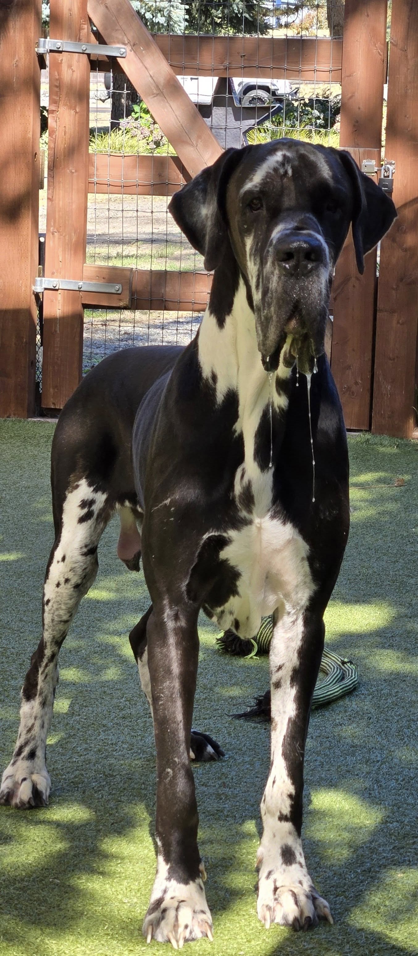 Win-Star Bed & Biscuit Tacoma