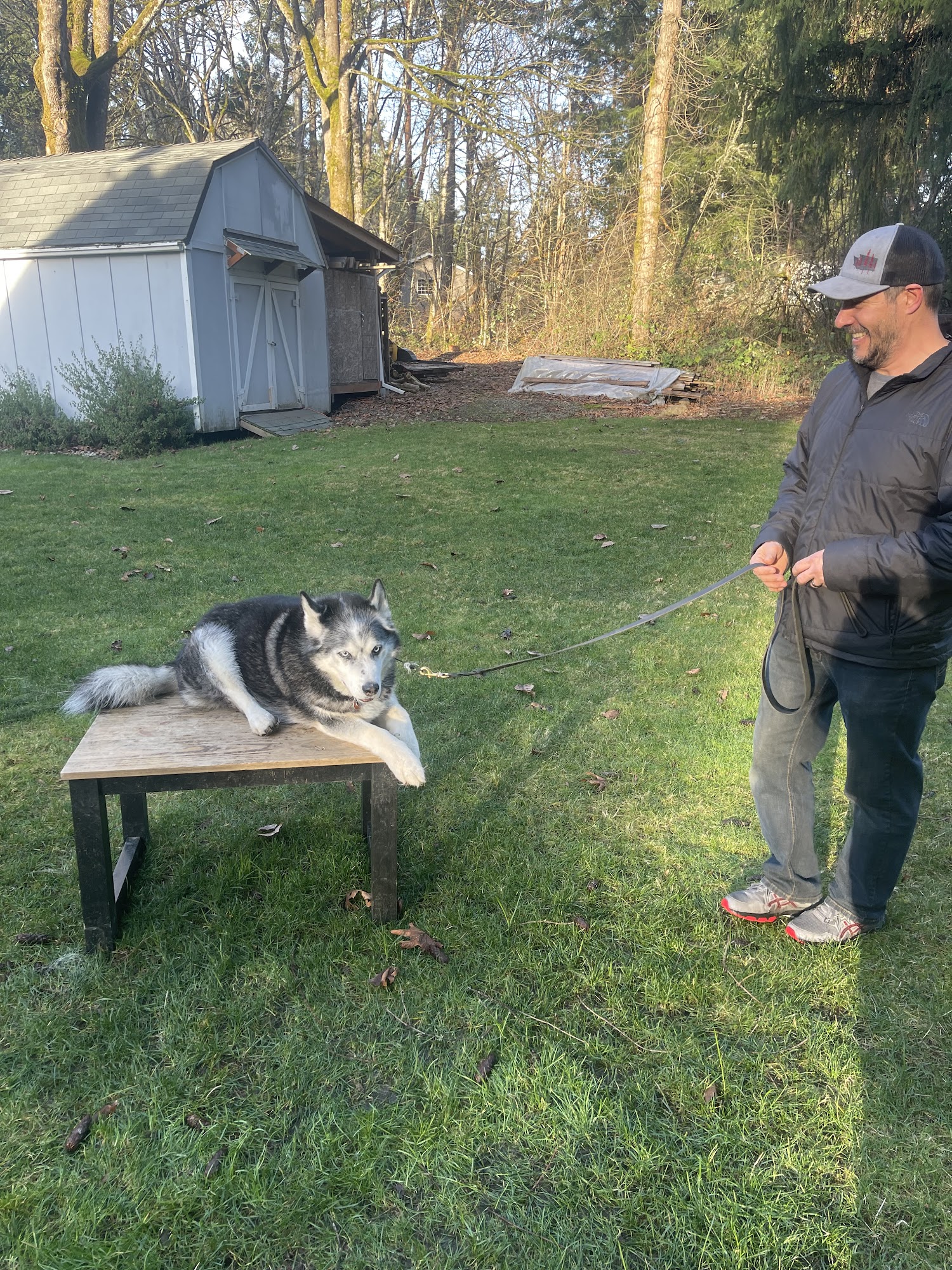 TIMELESS K9 BOARDING AND TRAINING Tacoma