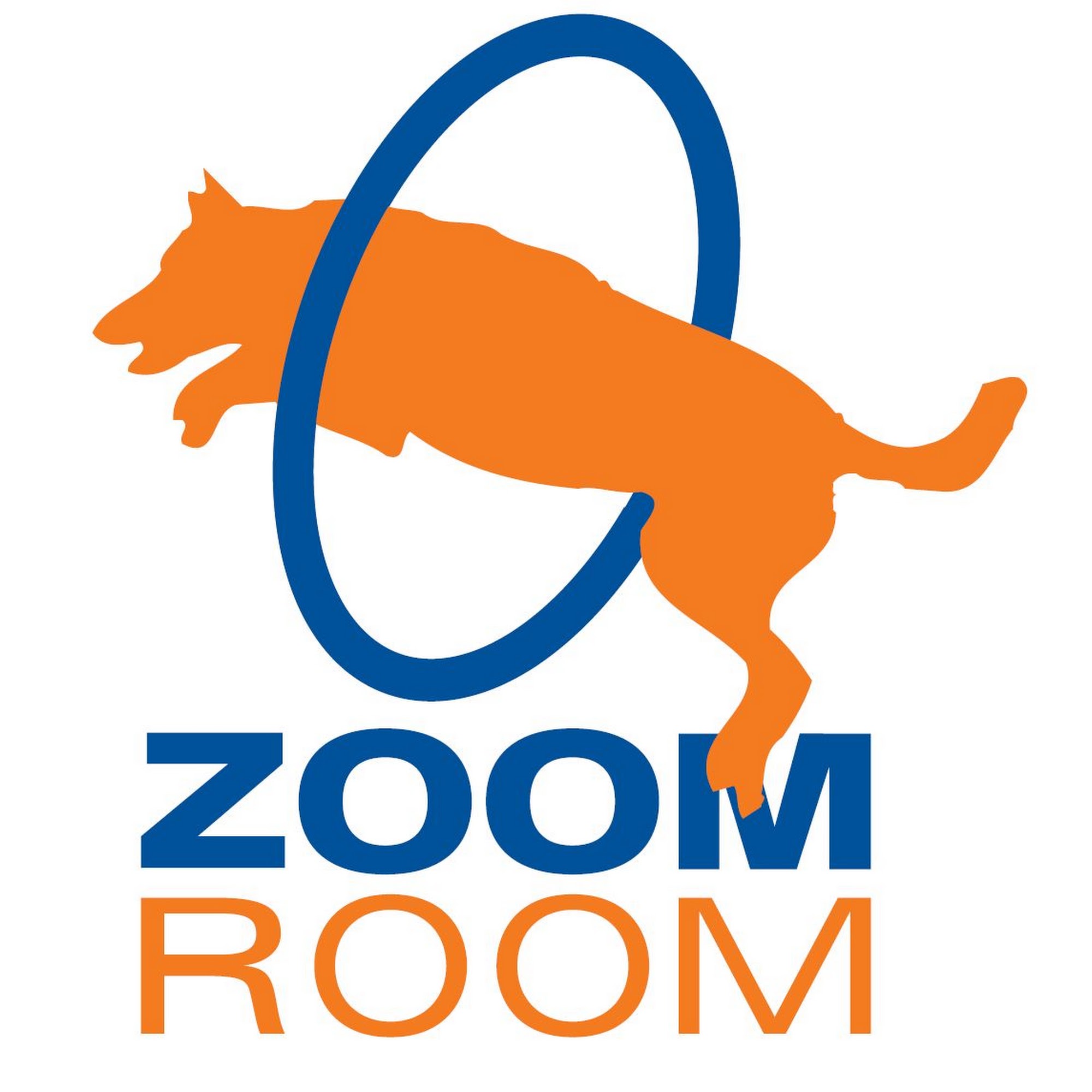 Zoom Room Dog Training Tacoma