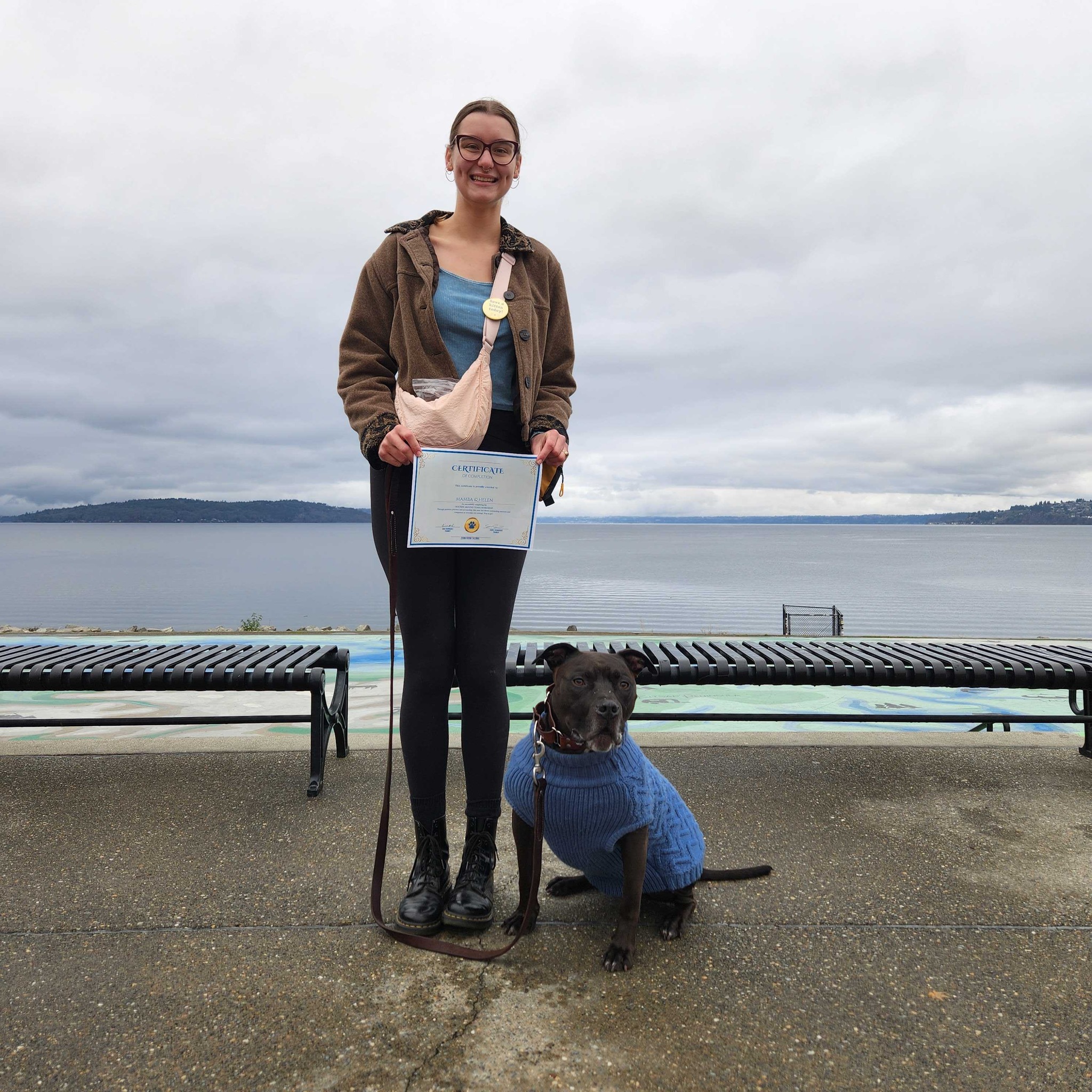 Zoom Room Dog Training Tacoma