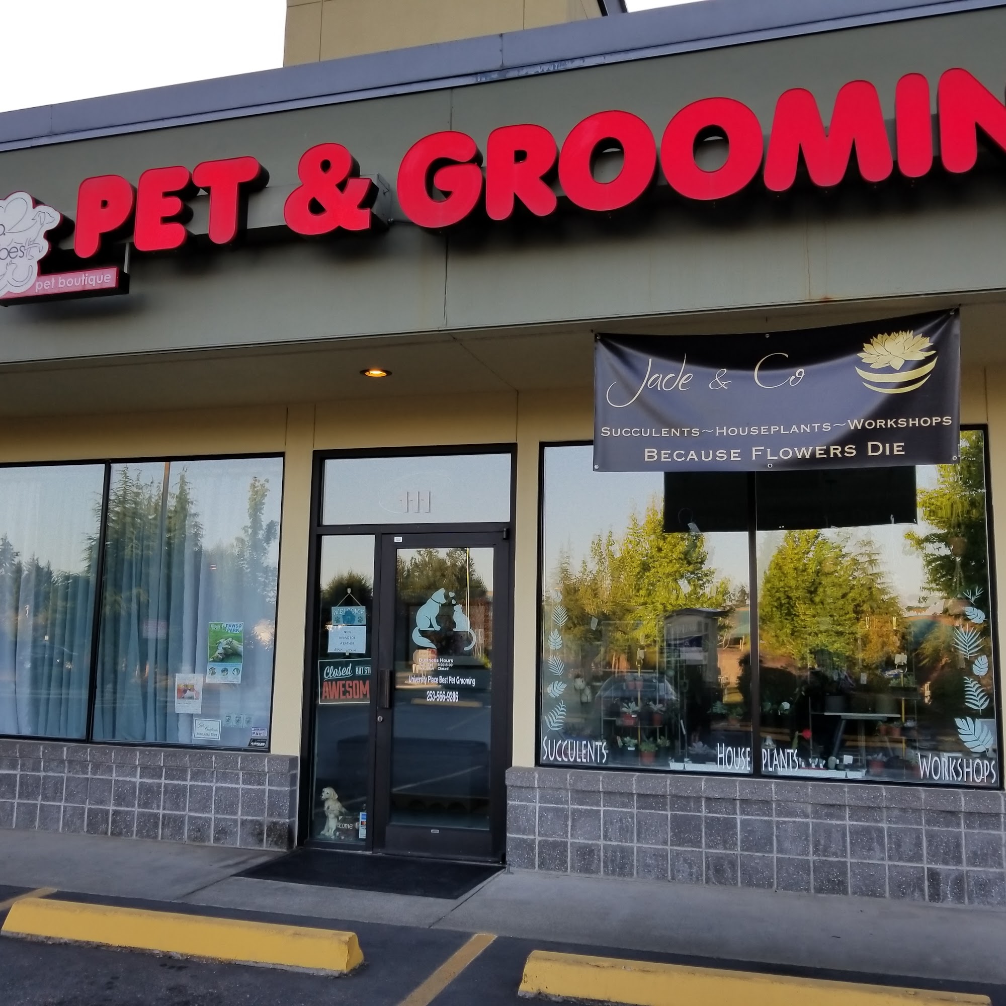 University Place Best Pet Grooming Inc University Place