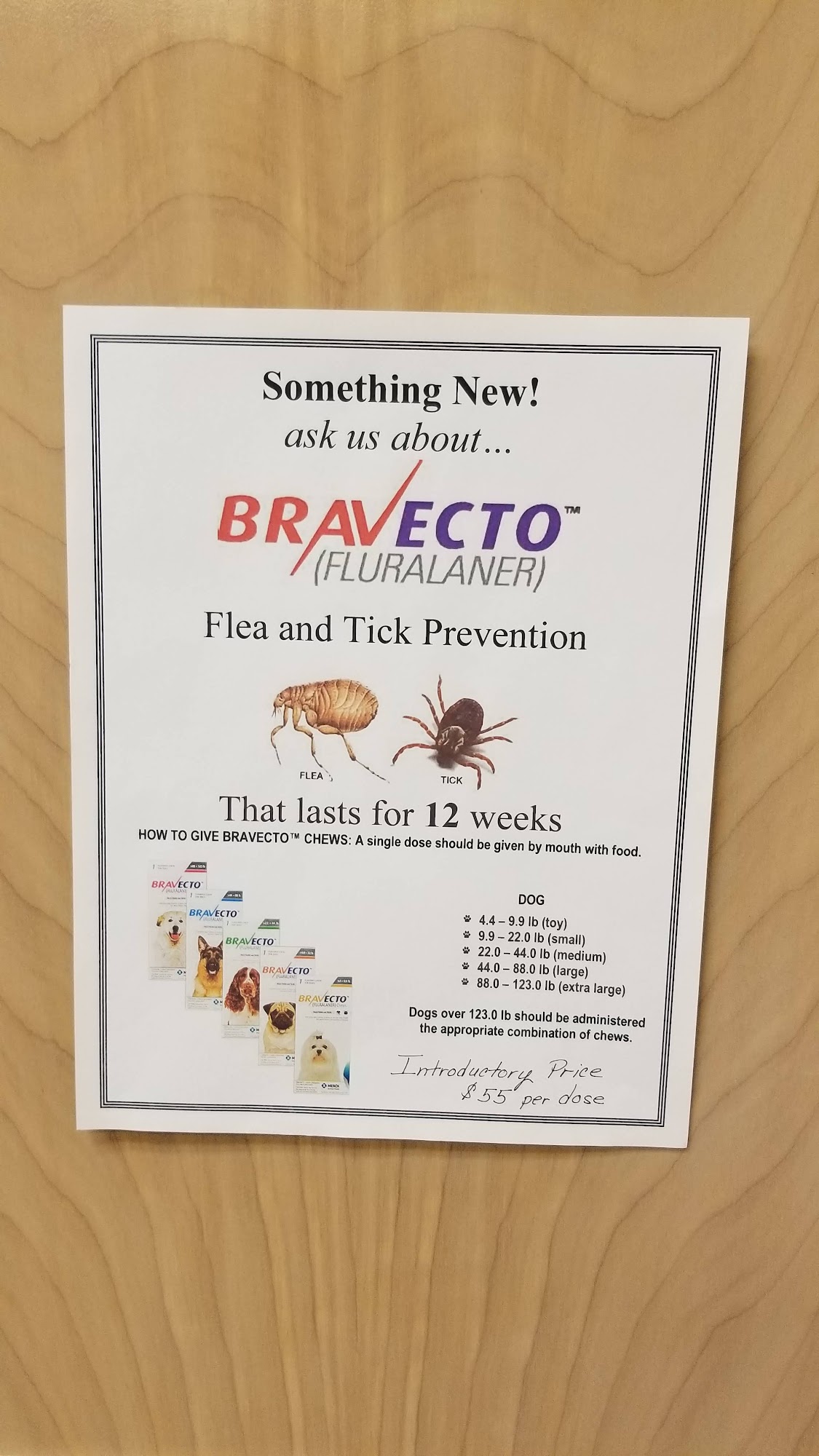 Neighborhood Pet Clinic Vancouver