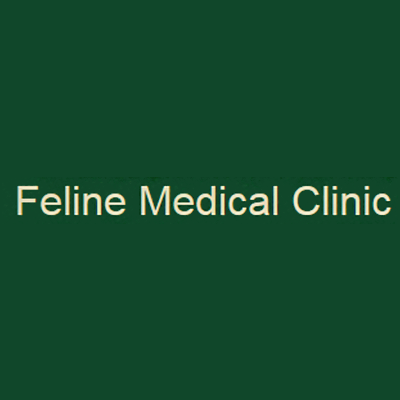 Feline Medical Clinic Vancouver