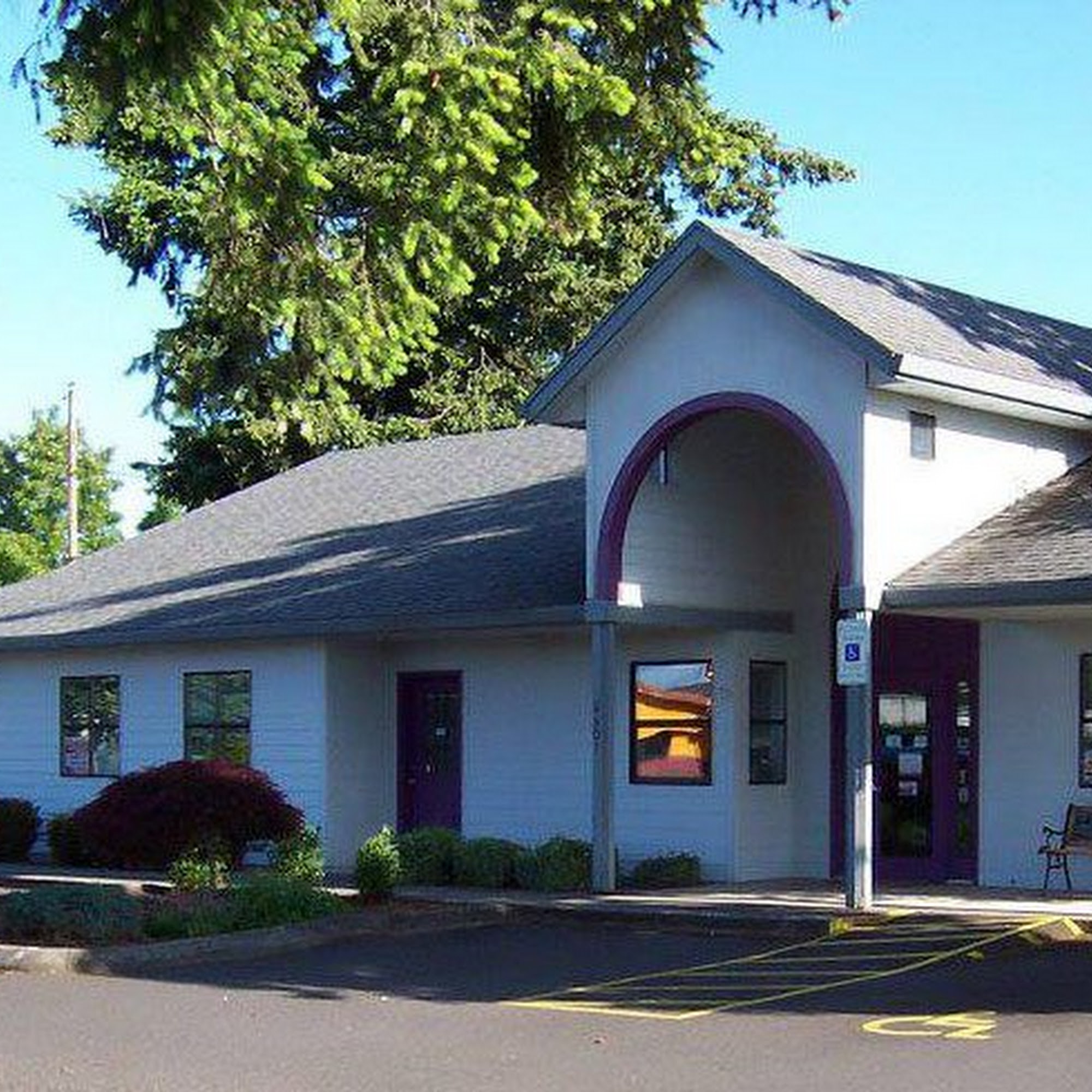 Feline Medical Clinic Vancouver