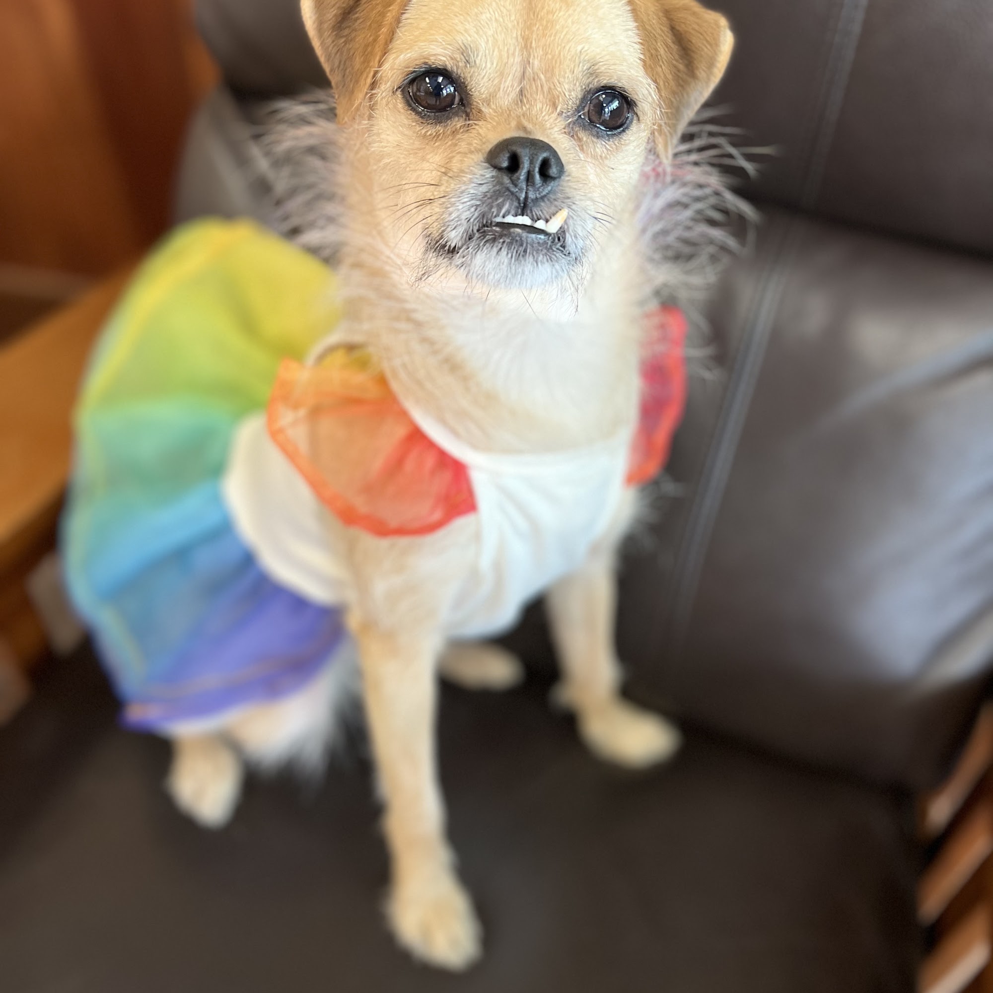 Riverview Animal Hospital Vancouver