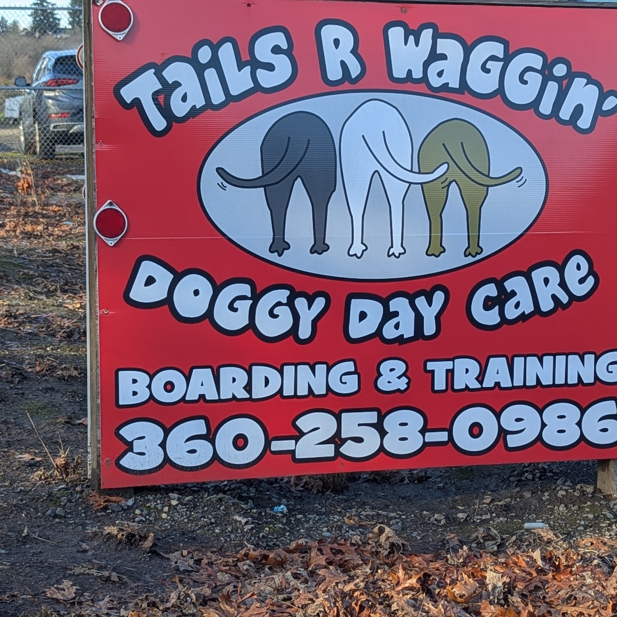 Tails R Waggin Doggy Day Care Vancouver