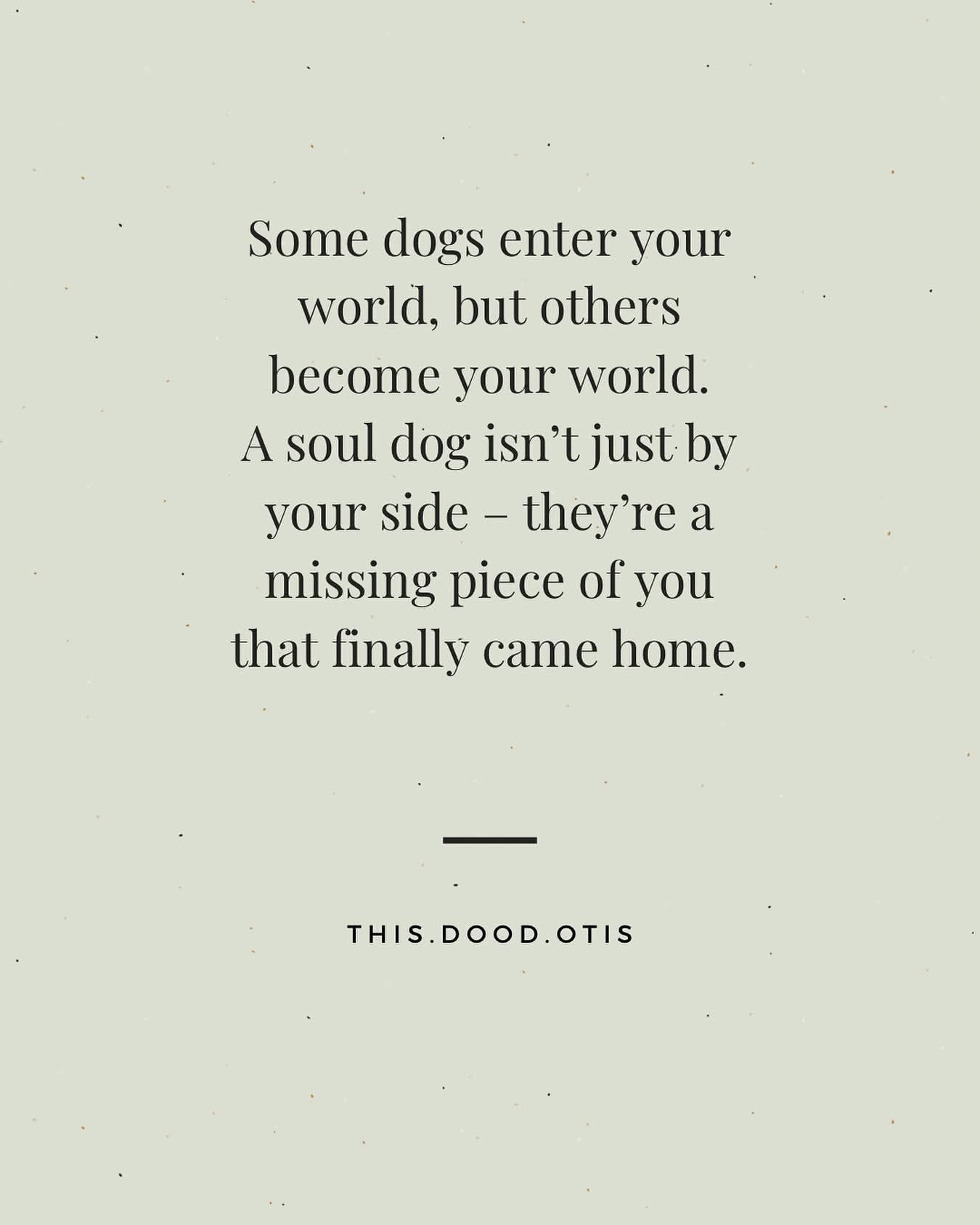 Best Friends Dog Grooming Vancouver