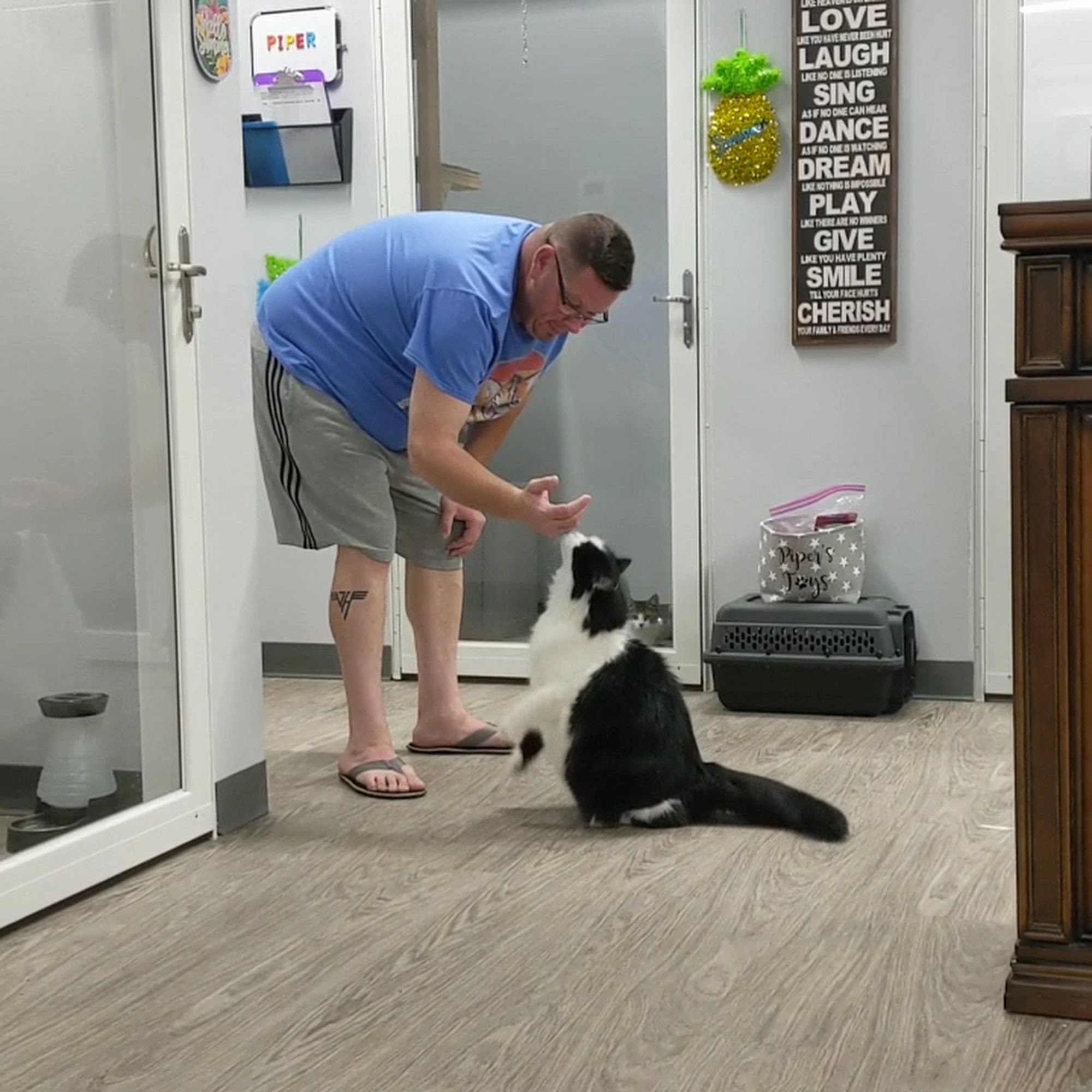 Tiny's Place Luxury Cat Boarding LTD Vancouver