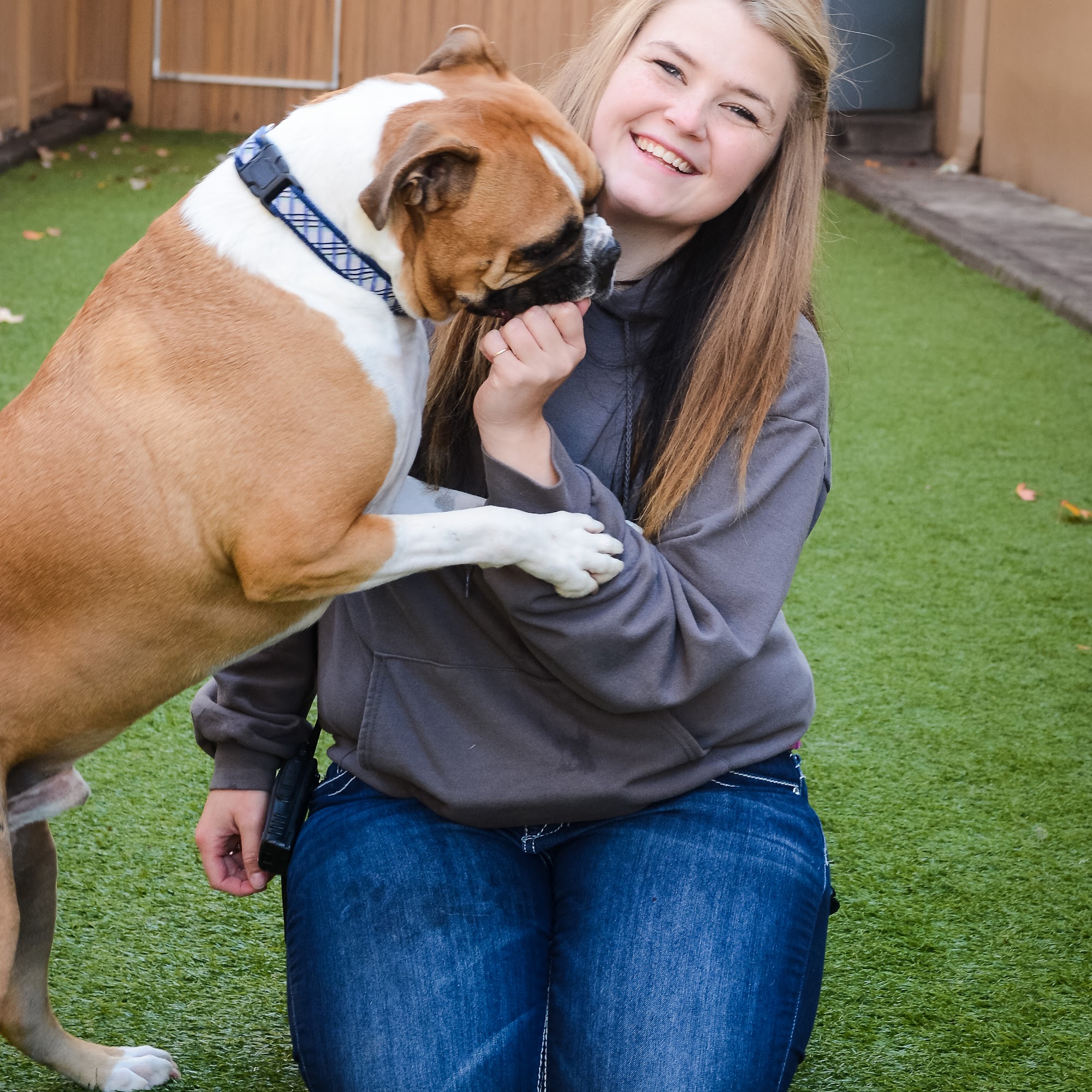 A Dog’s Best Friend Doggy Daycare & Training Vancouver