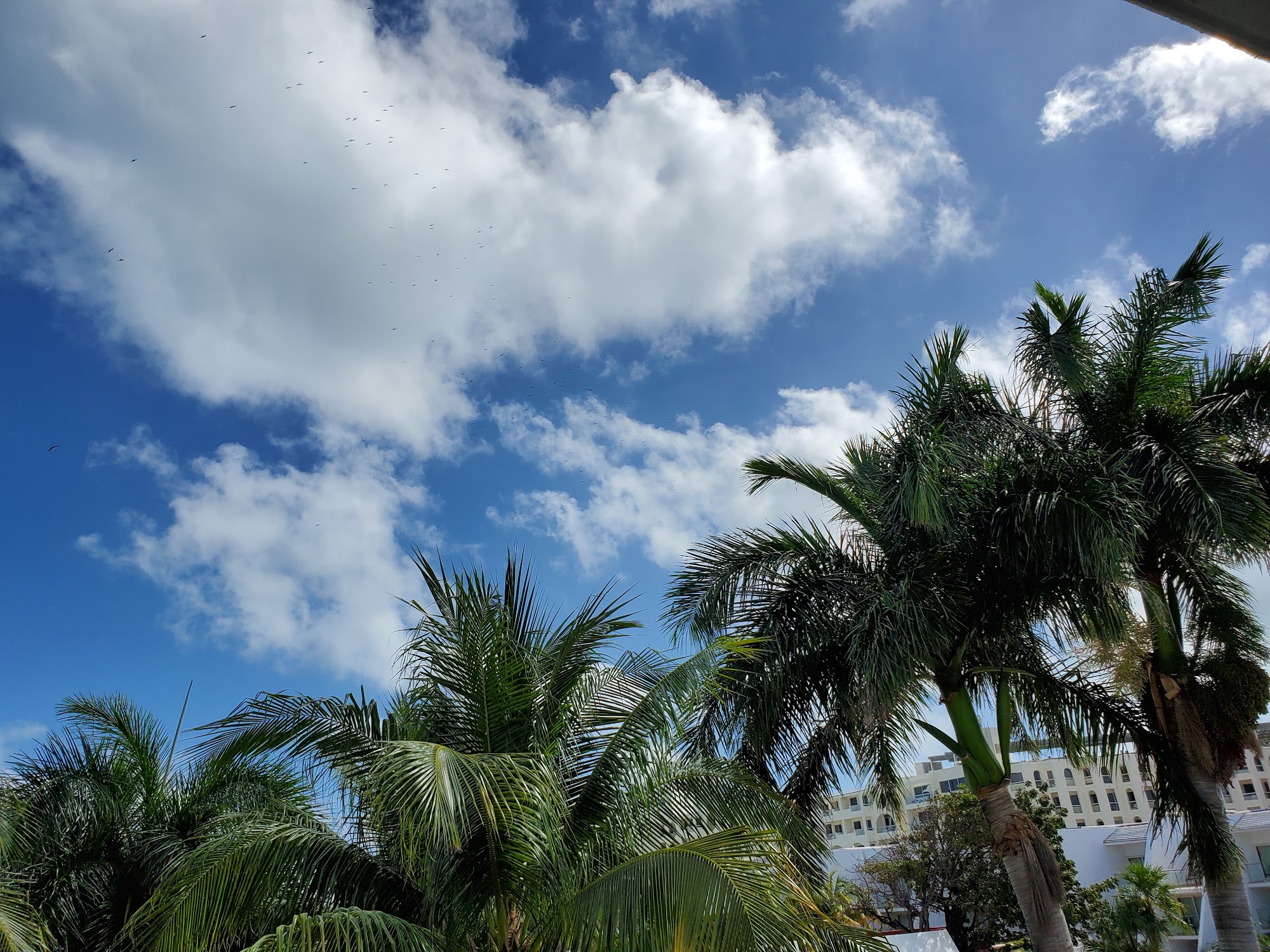 Blue Lotus Salon 15524 SE Mill Plain Blvd, Vancouver Washington 98684