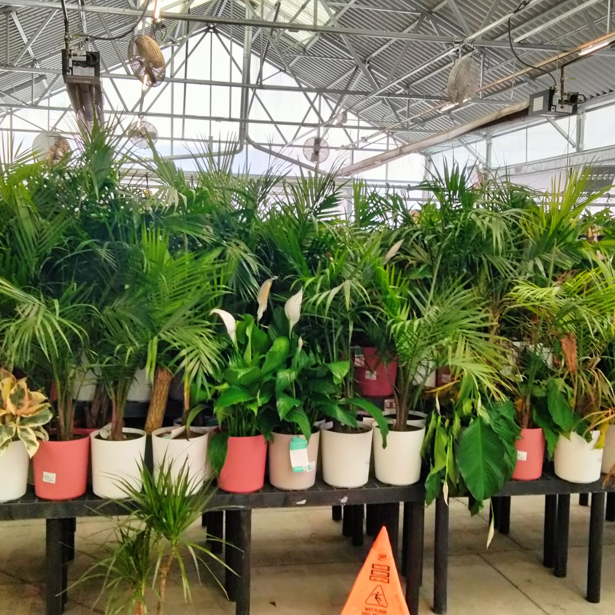 Walmart Garden Center Vancouver