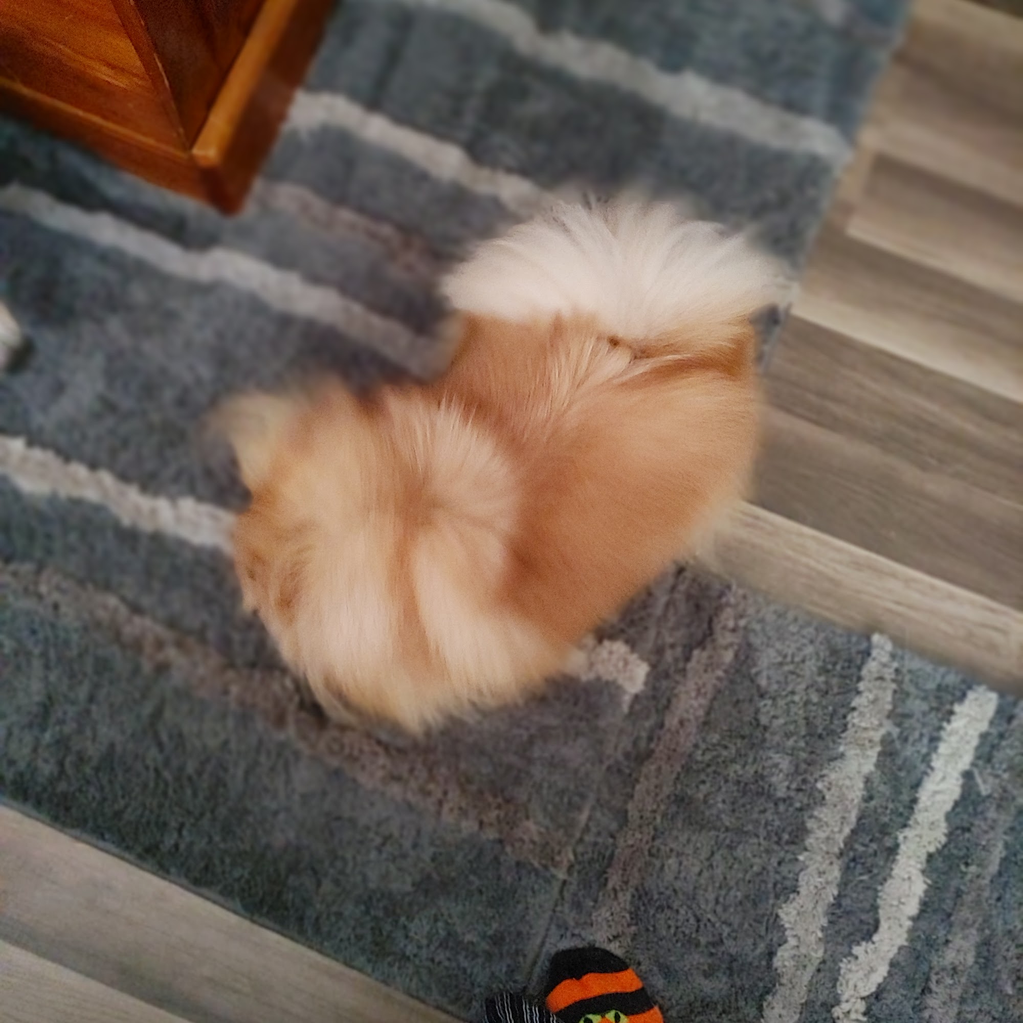 All Around Town Mbl Grooming