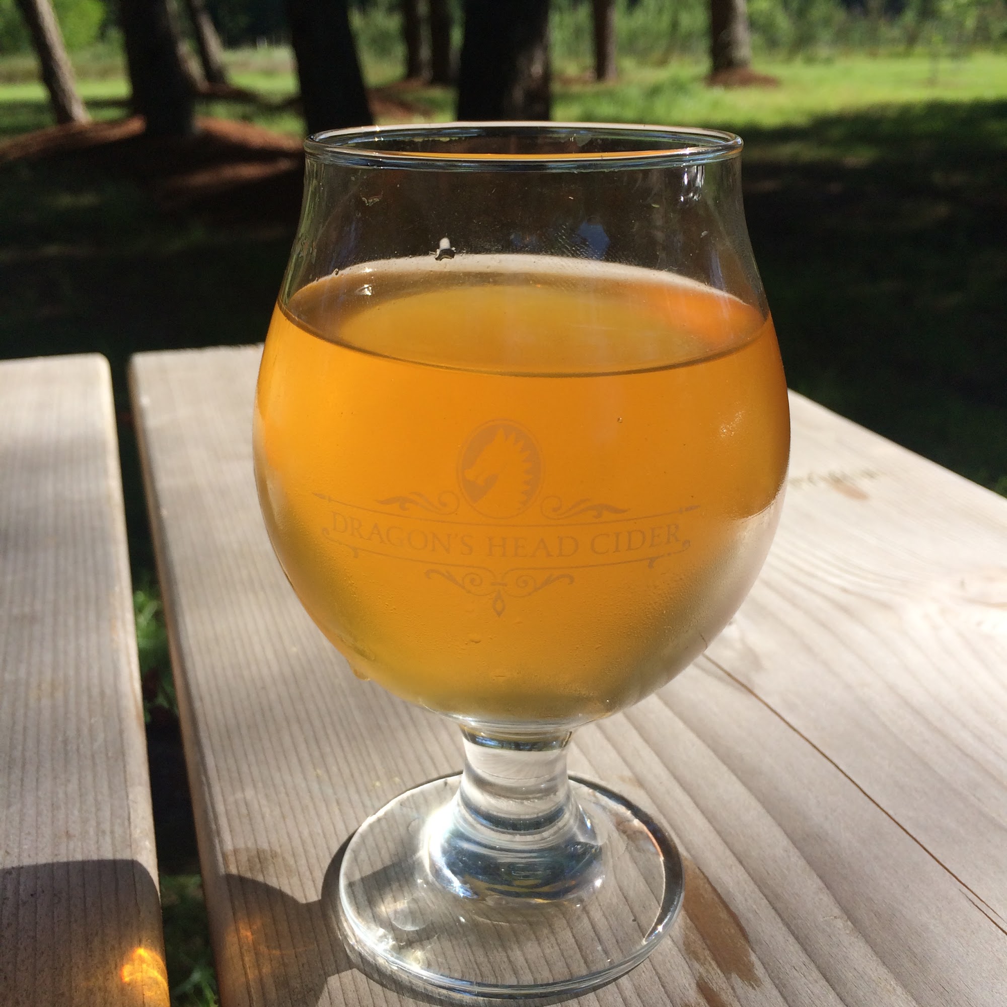 Dragon's Head Cider Vashon