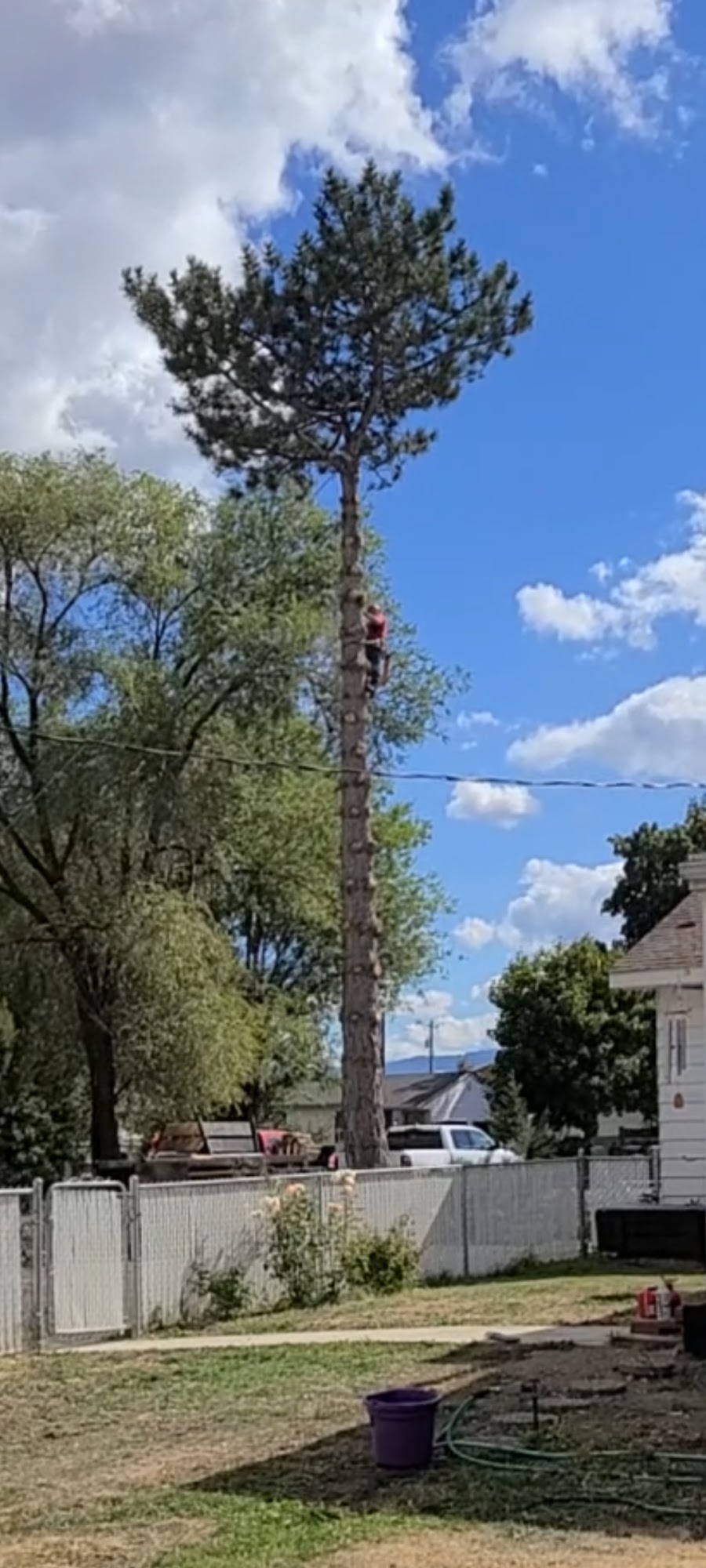 Affordable Tree Service 520 N Sommer Rd, Veradale Washington 99037