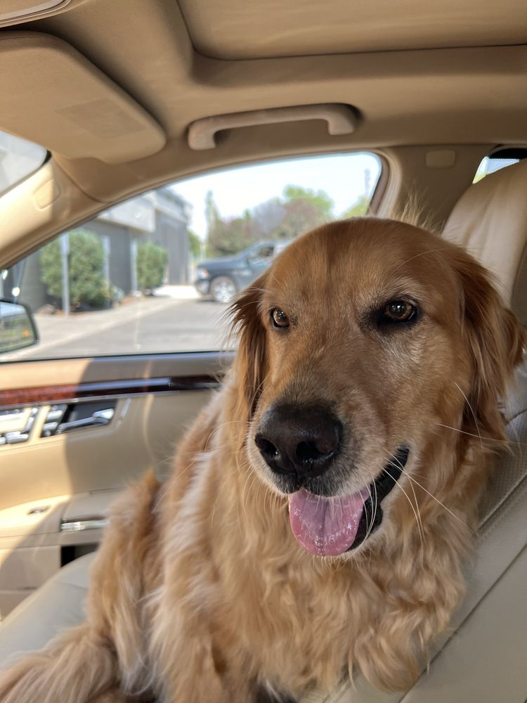 Associated Veterinary Med Center: Sigler Tiah DVM Walla Walla