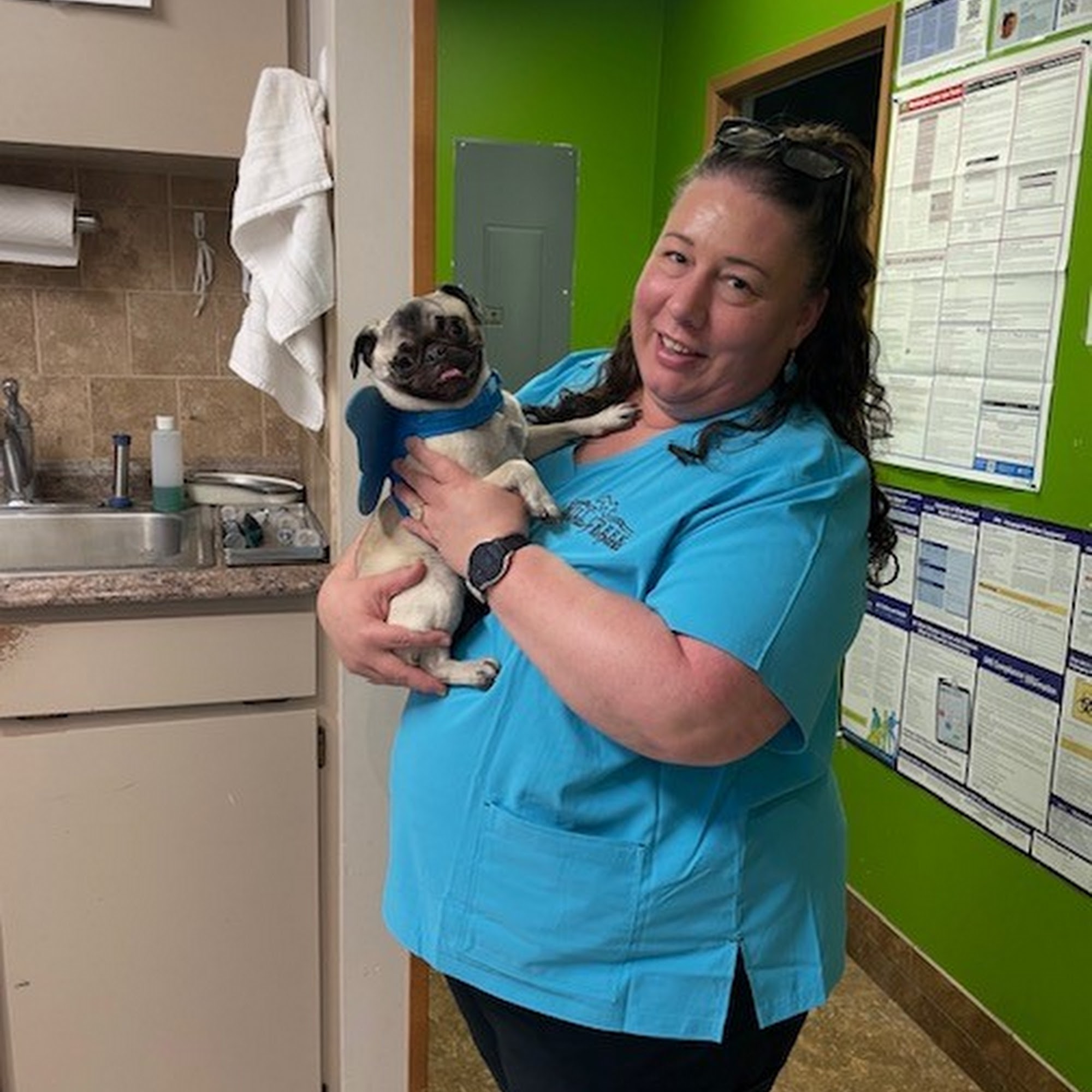 Mill Creek Veterinary Hospital Walla Walla