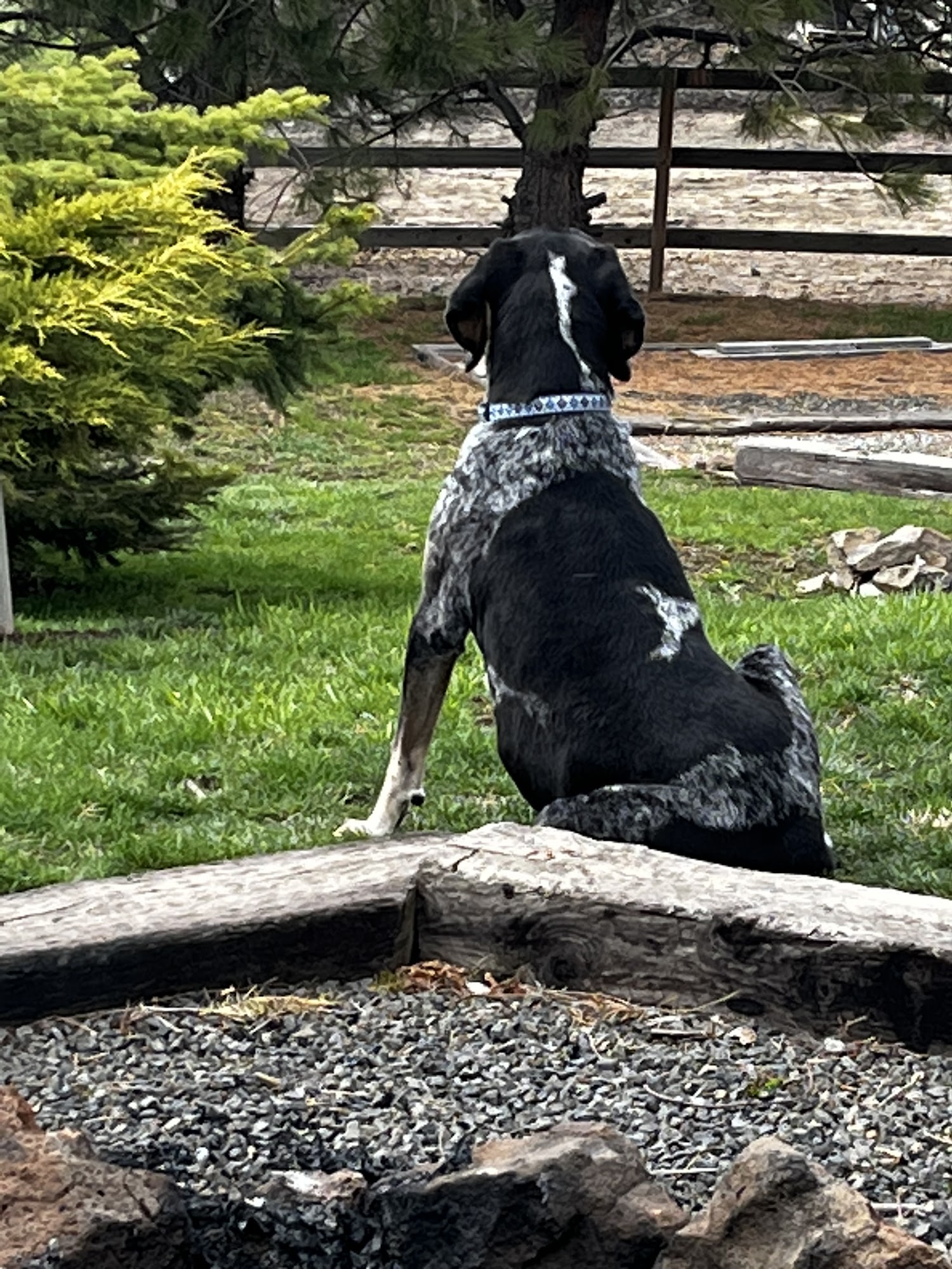 Mill Creek Veterinary Hospital Walla Walla