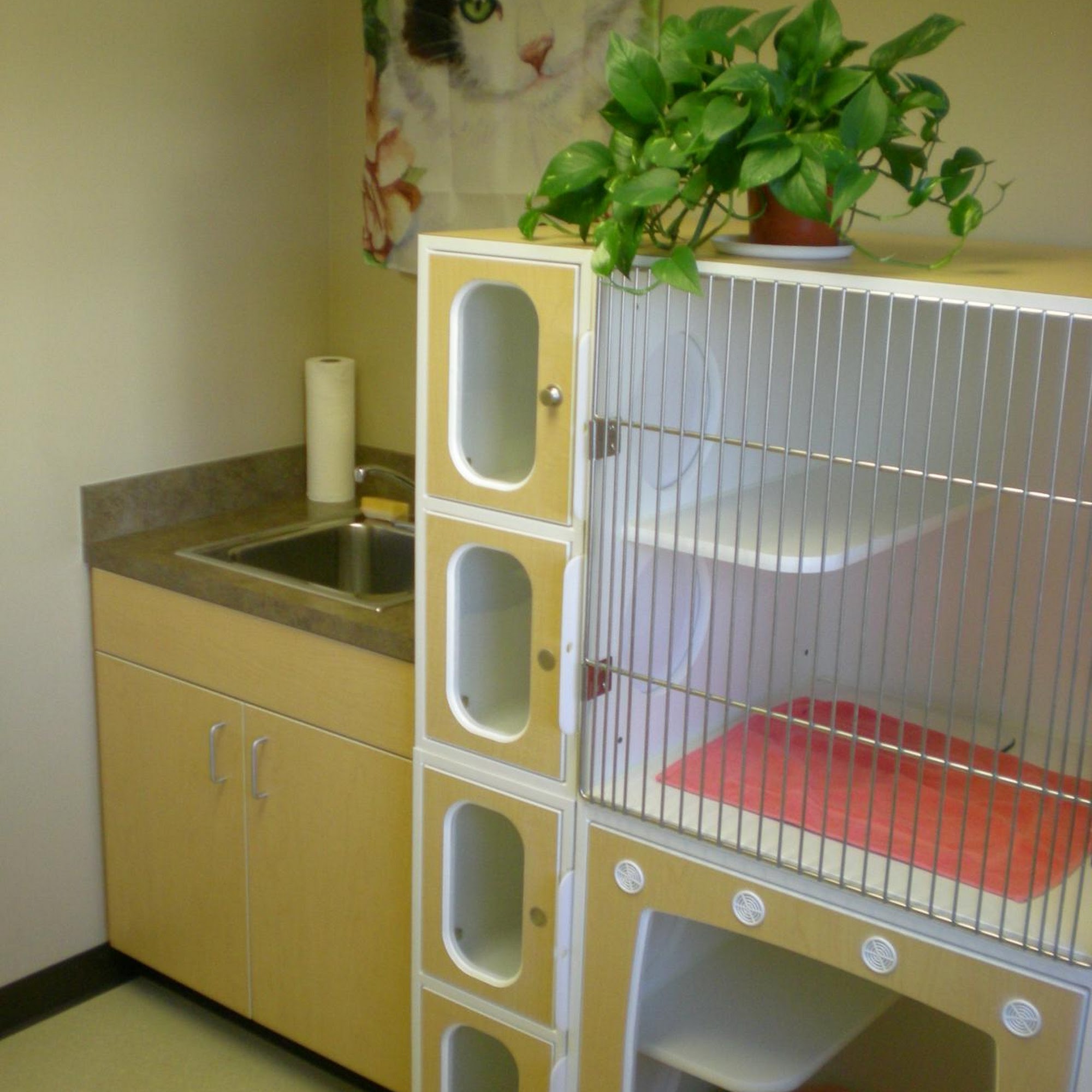 Animal Hospital of Wenatchee Wenatchee